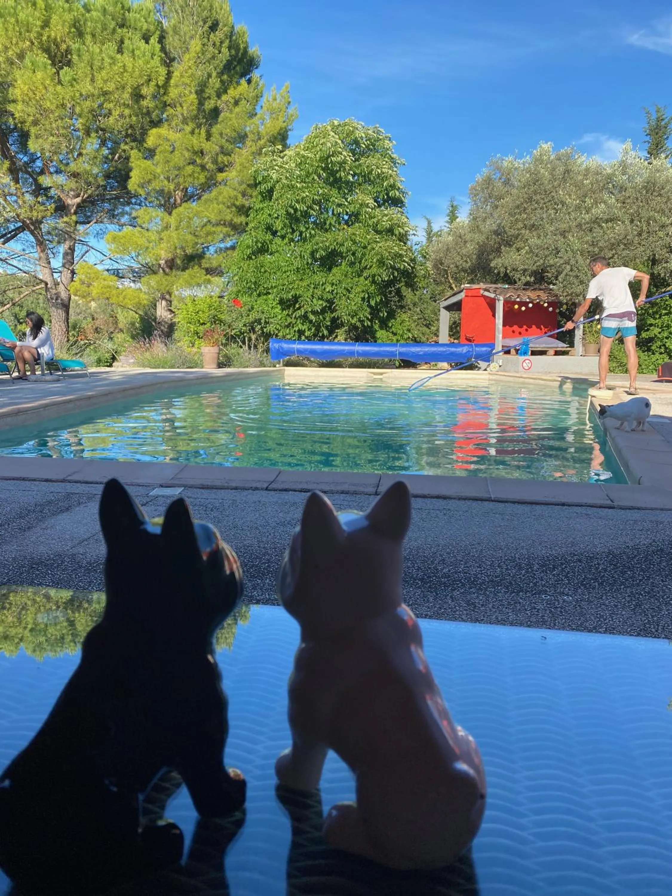 Swimming pool in Le mas de la diligence