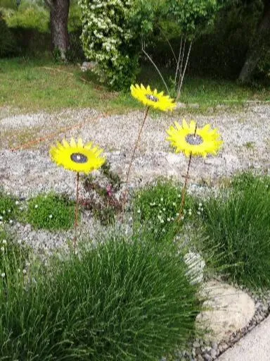 Garden view in Le mas de la diligence