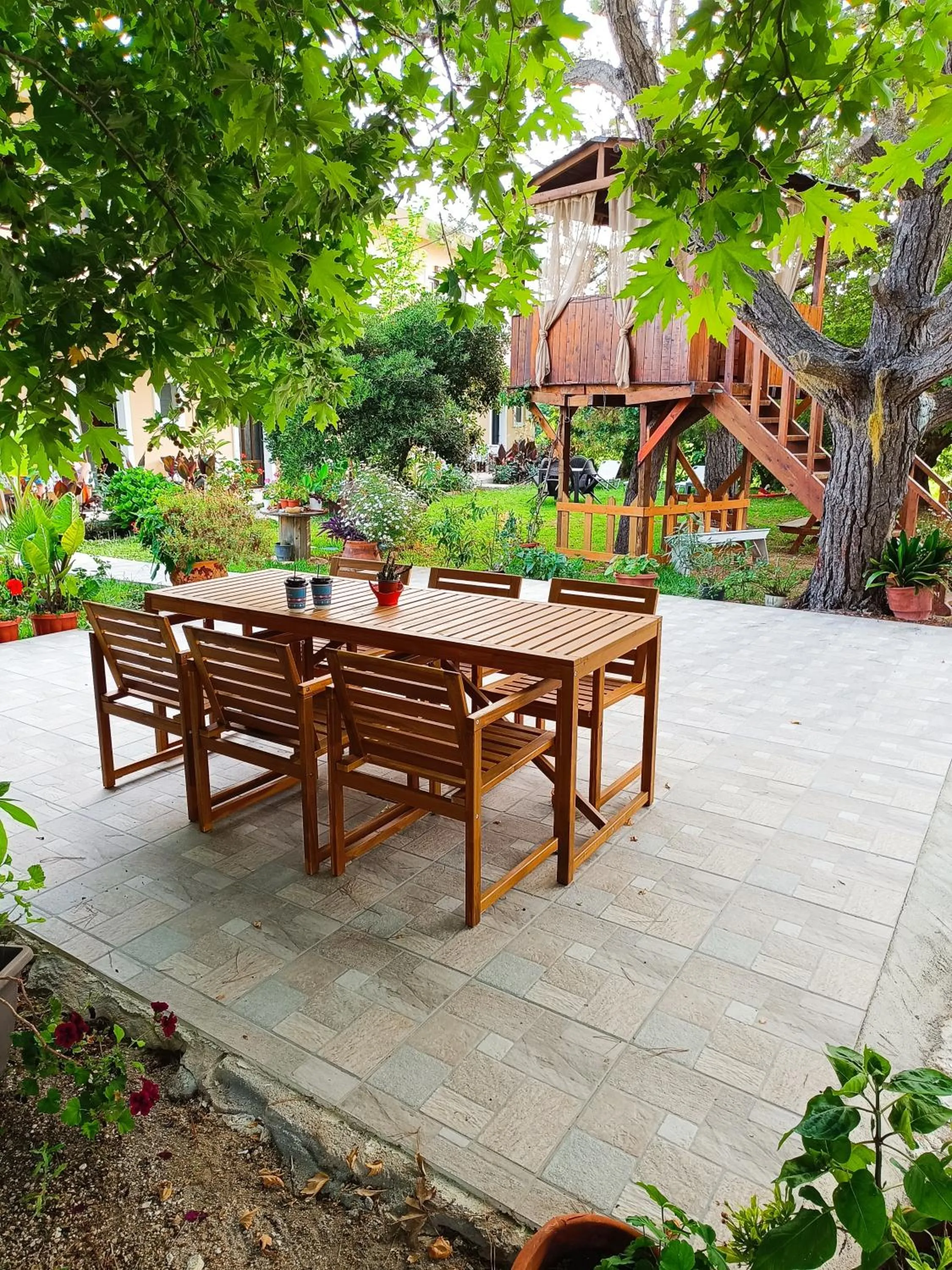 Garden in Gongis Studios