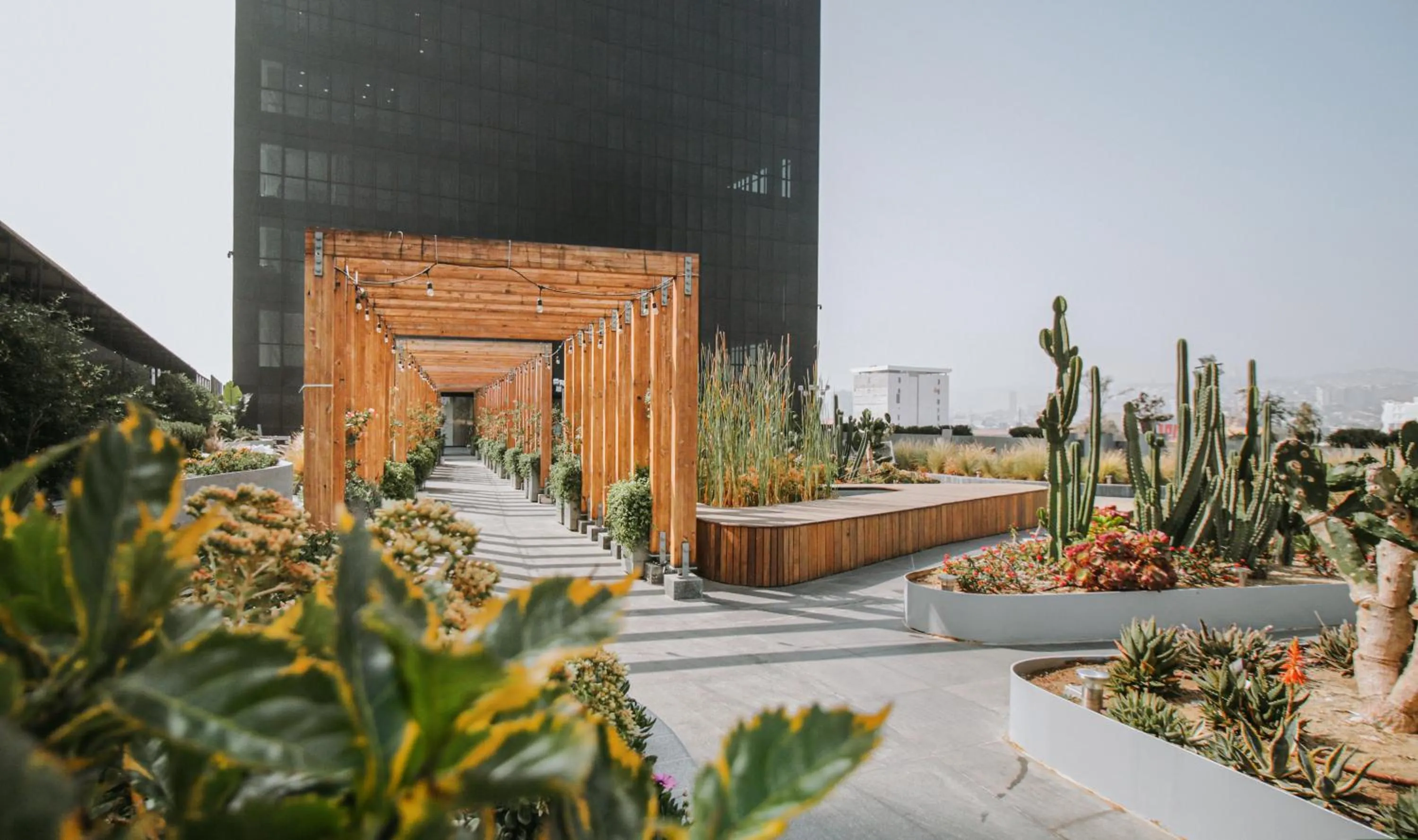 Garden view in QUARTZ HOTEL & SPA