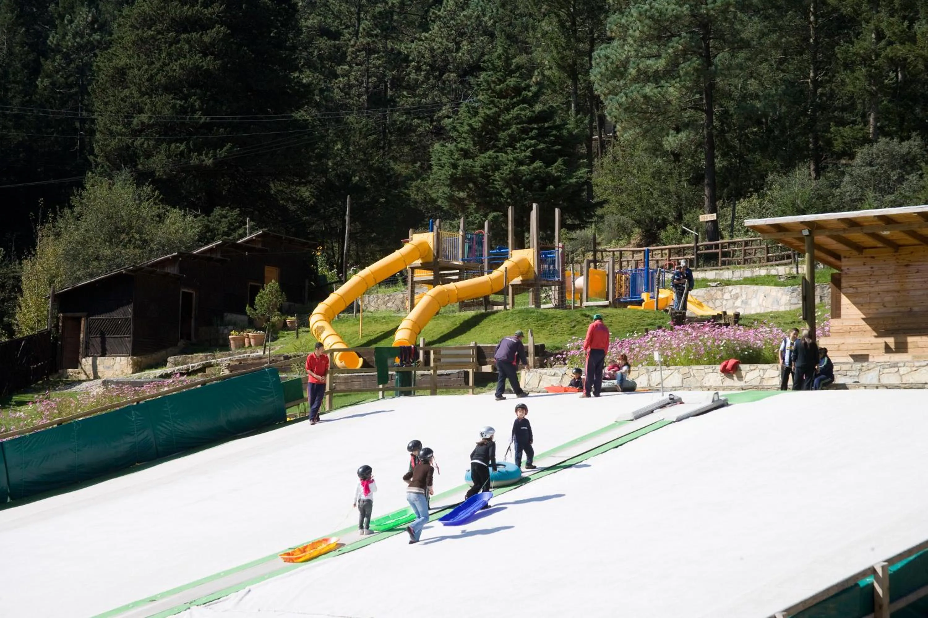 Entertainment in Bosques de Monterreal