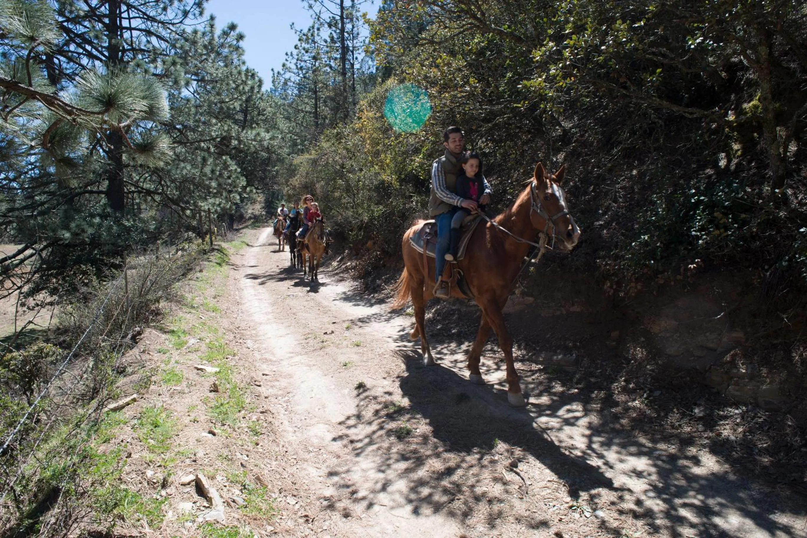 Horse-riding in Bosques de Monterreal