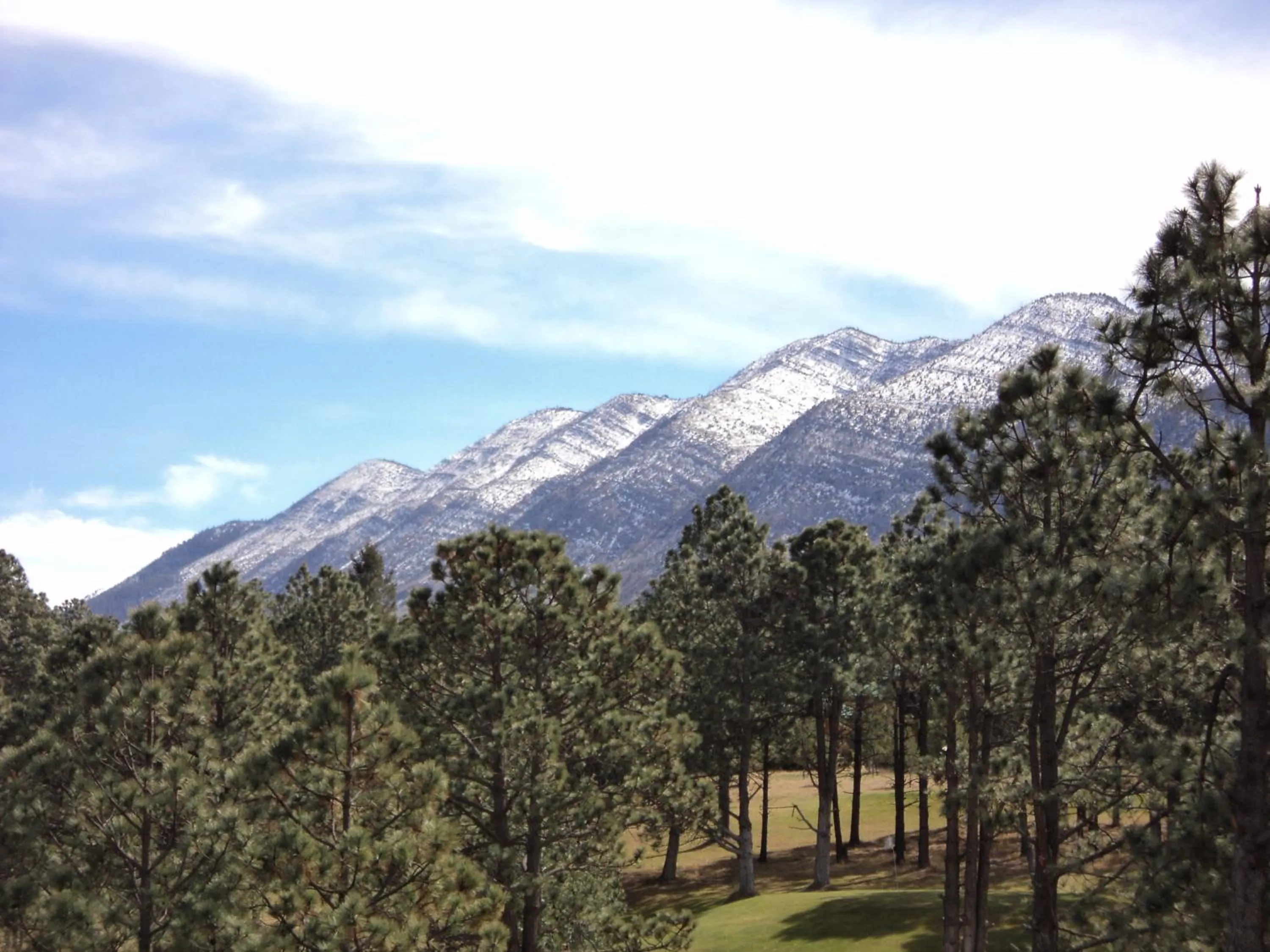 Winter in Bosques de Monterreal
