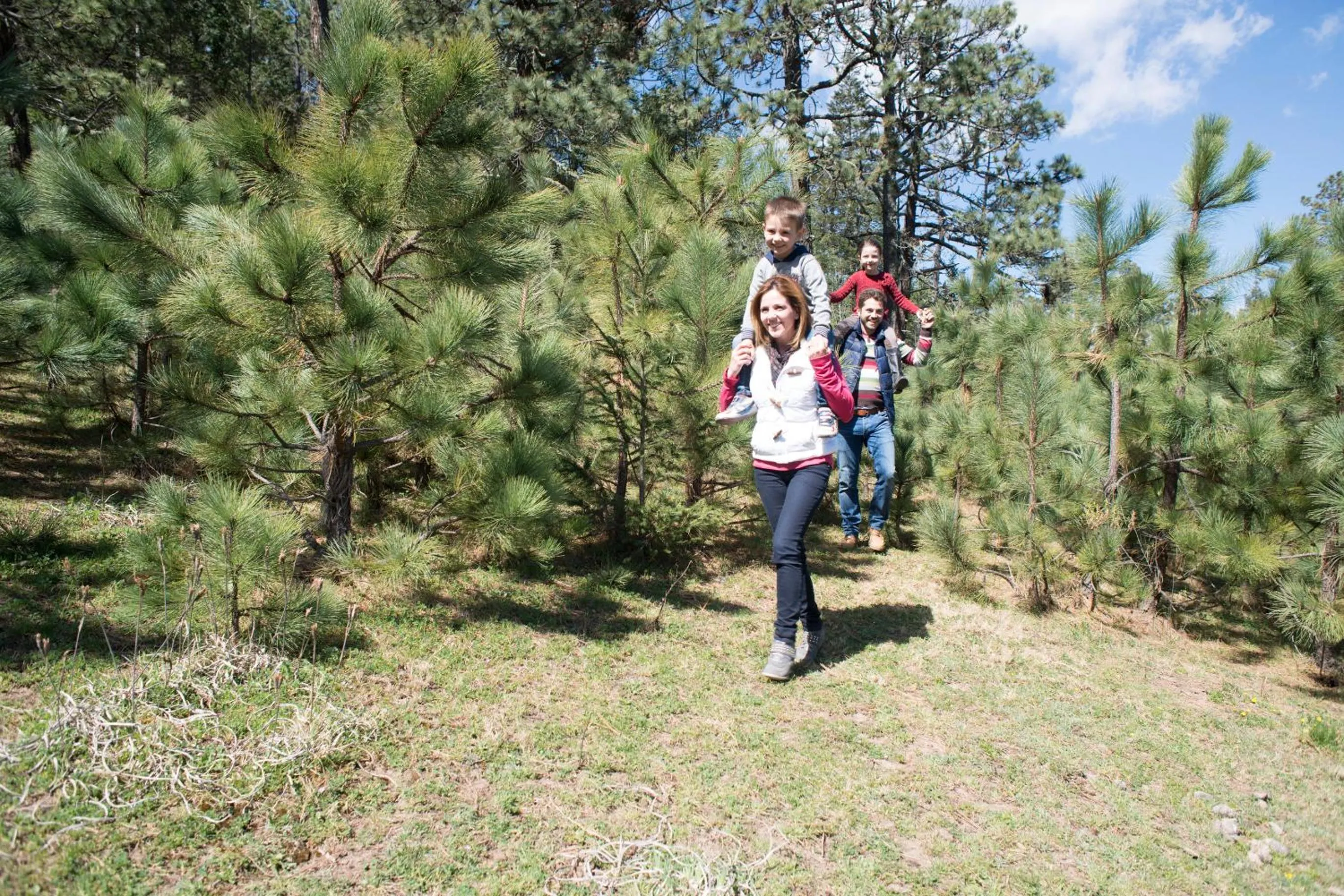 Garden in Bosques de Monterreal