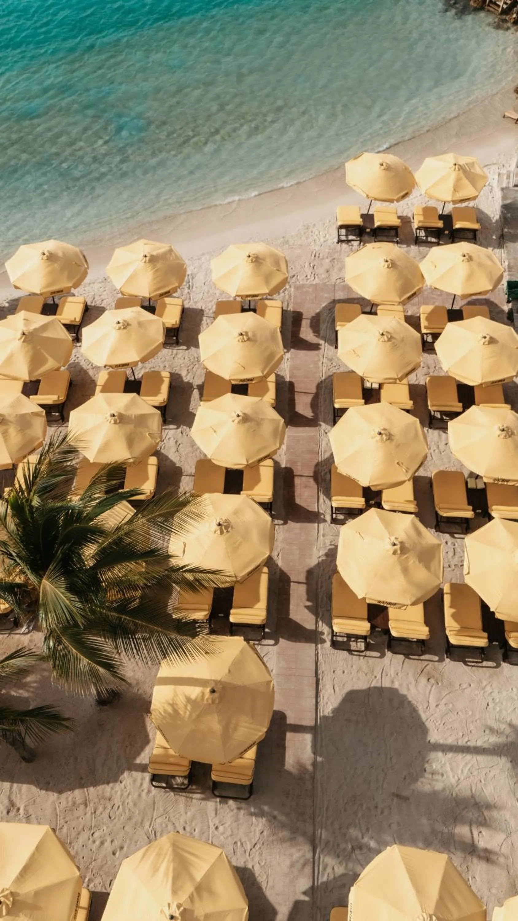 Beach in Bon Bini Resort Curacao