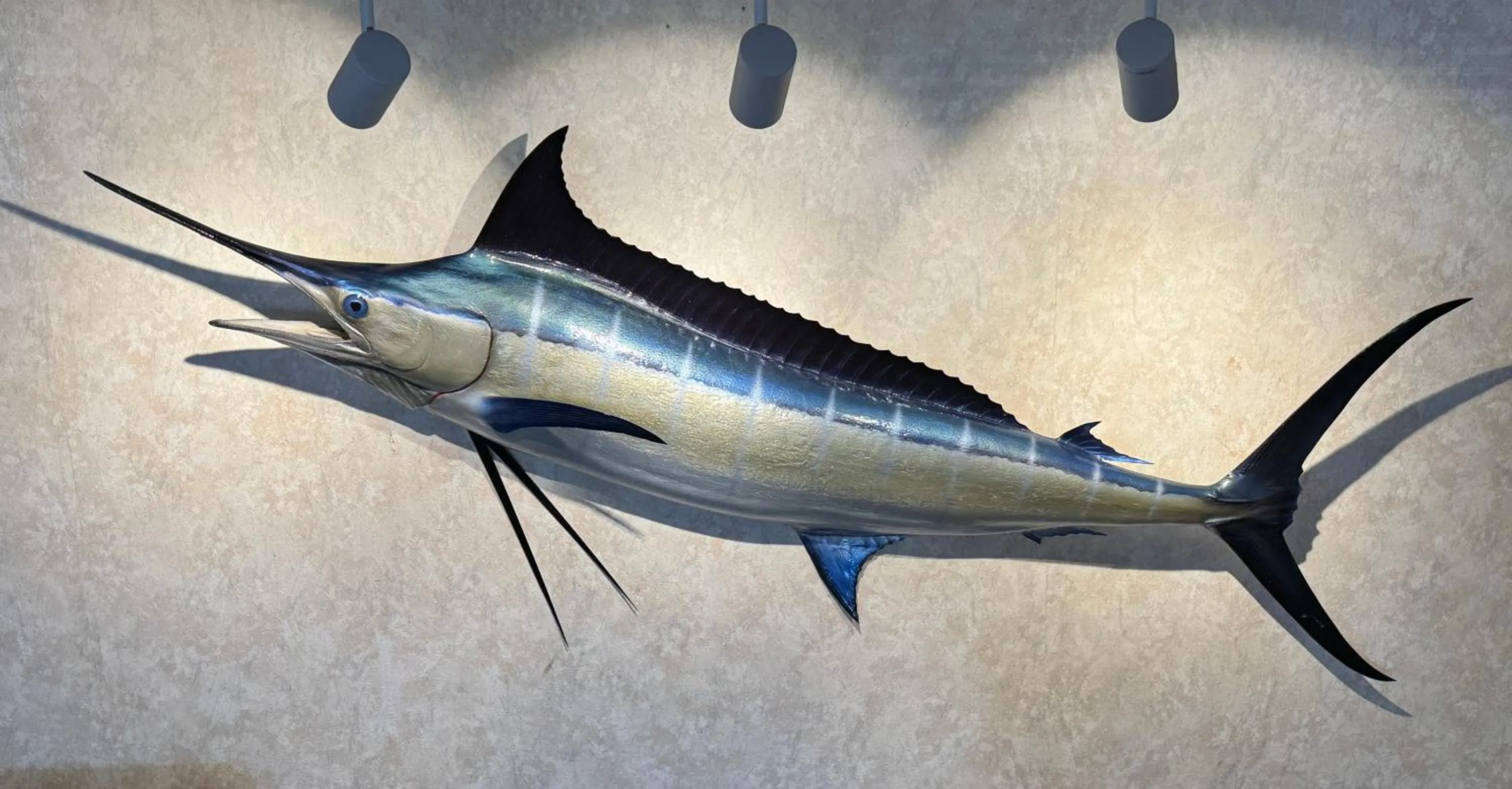 Lobby or reception in Hole Inn the Wall Hotel - Fort Walton Beach - Sunset Plaza - nearby Beaches & Hurlburt