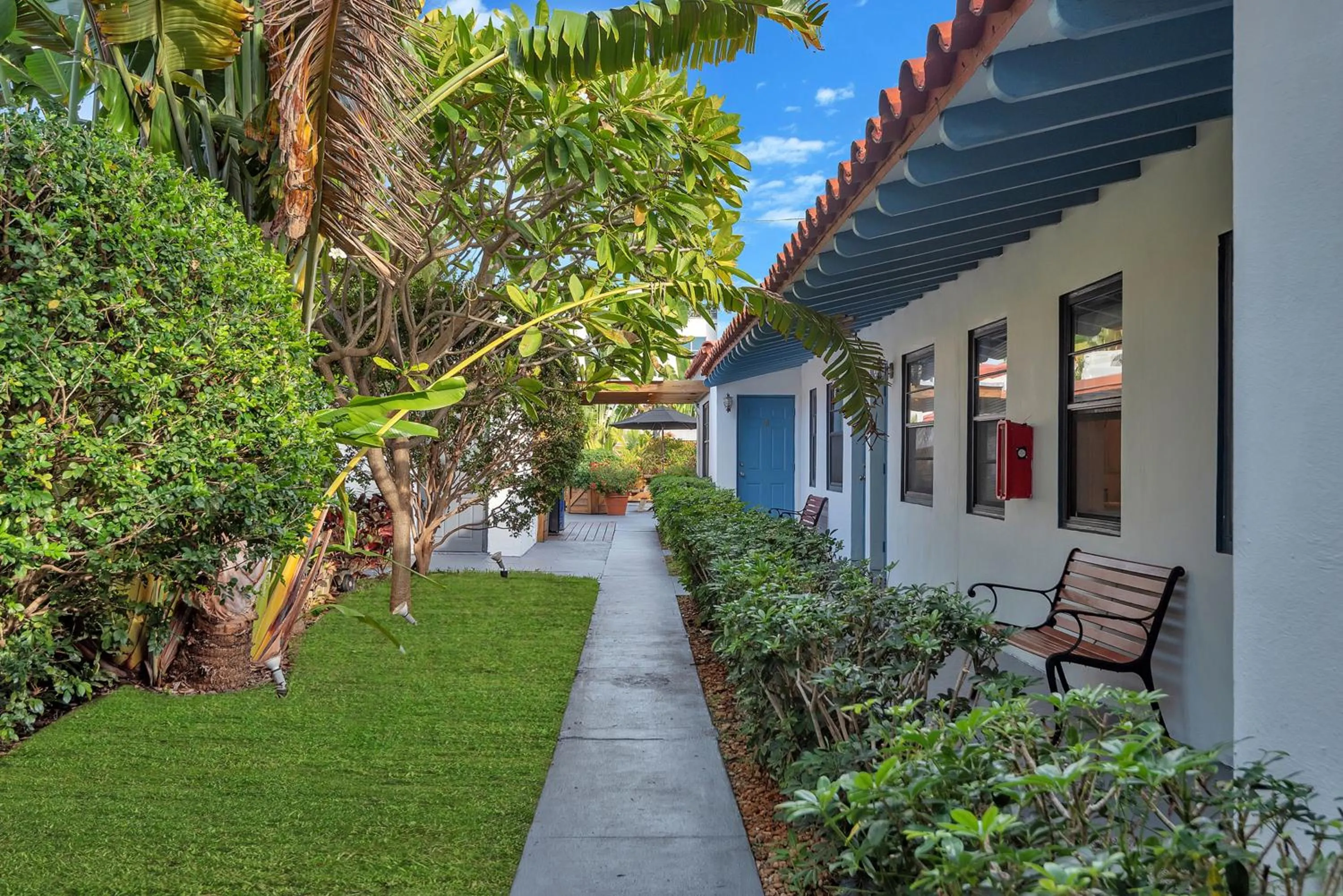 Garden in Oasis Hotel