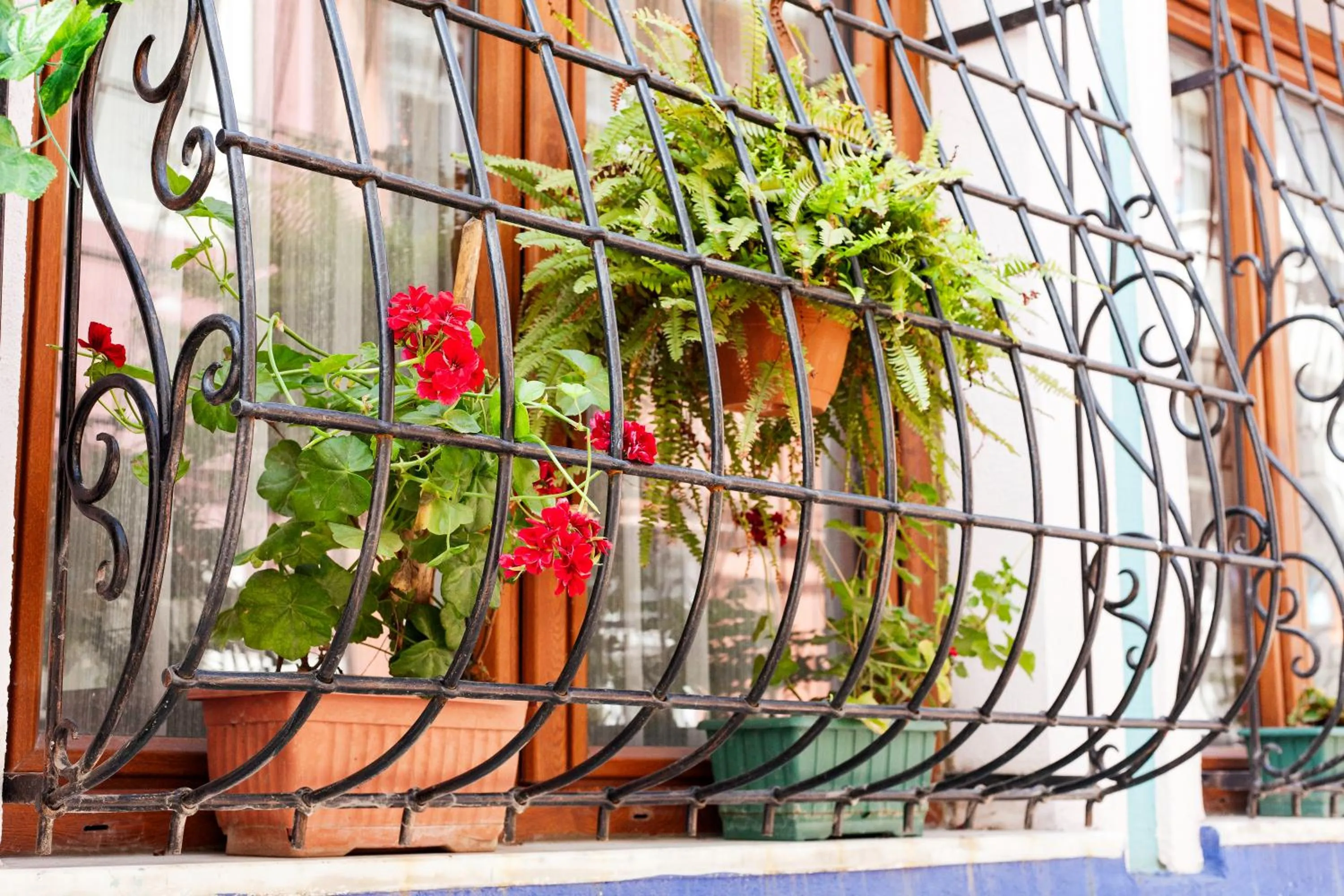 Elele Boutique Aparts