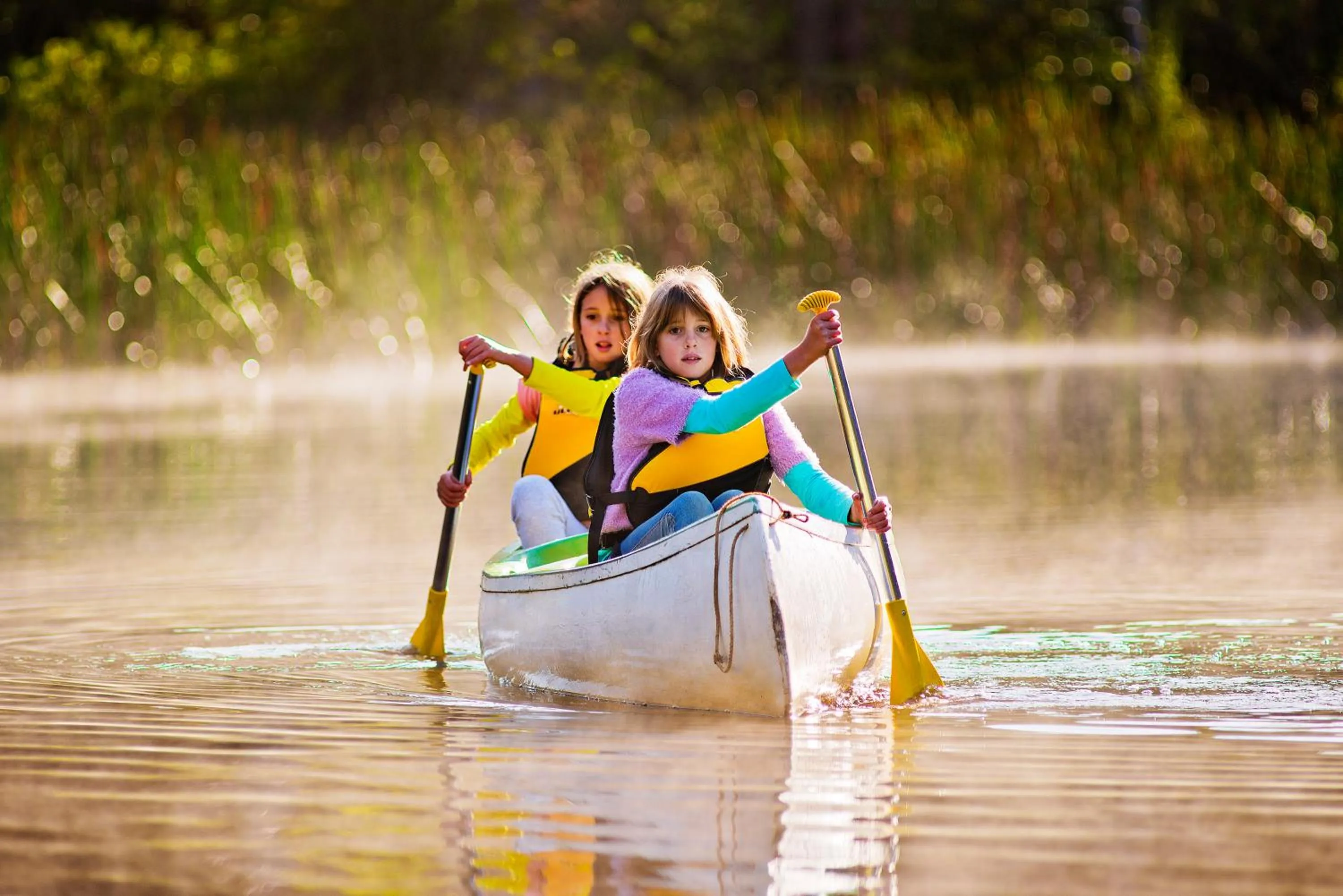 Activities in Kianinny Bush Cottages