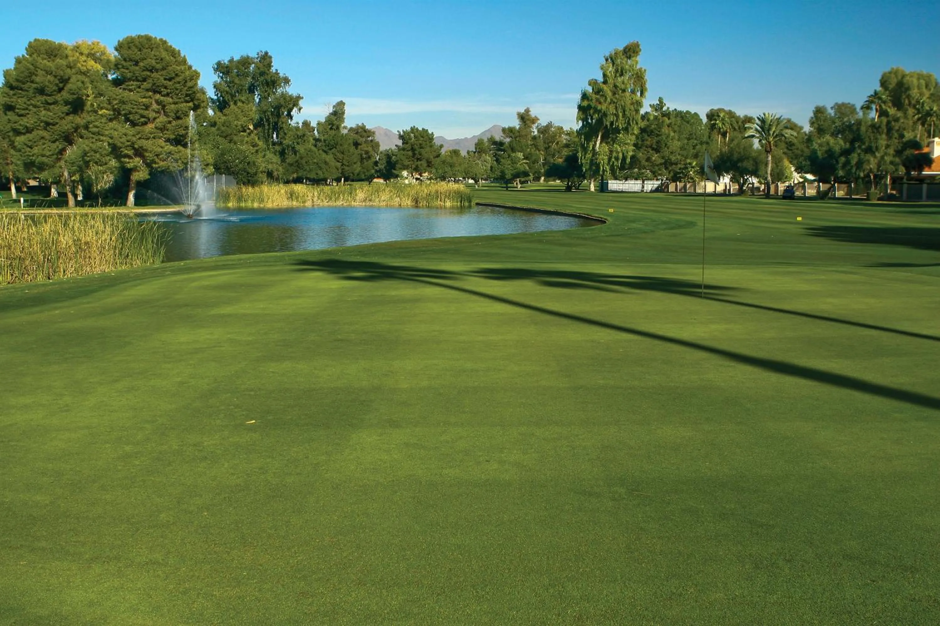 Golfcourse in Orange Tree Resort