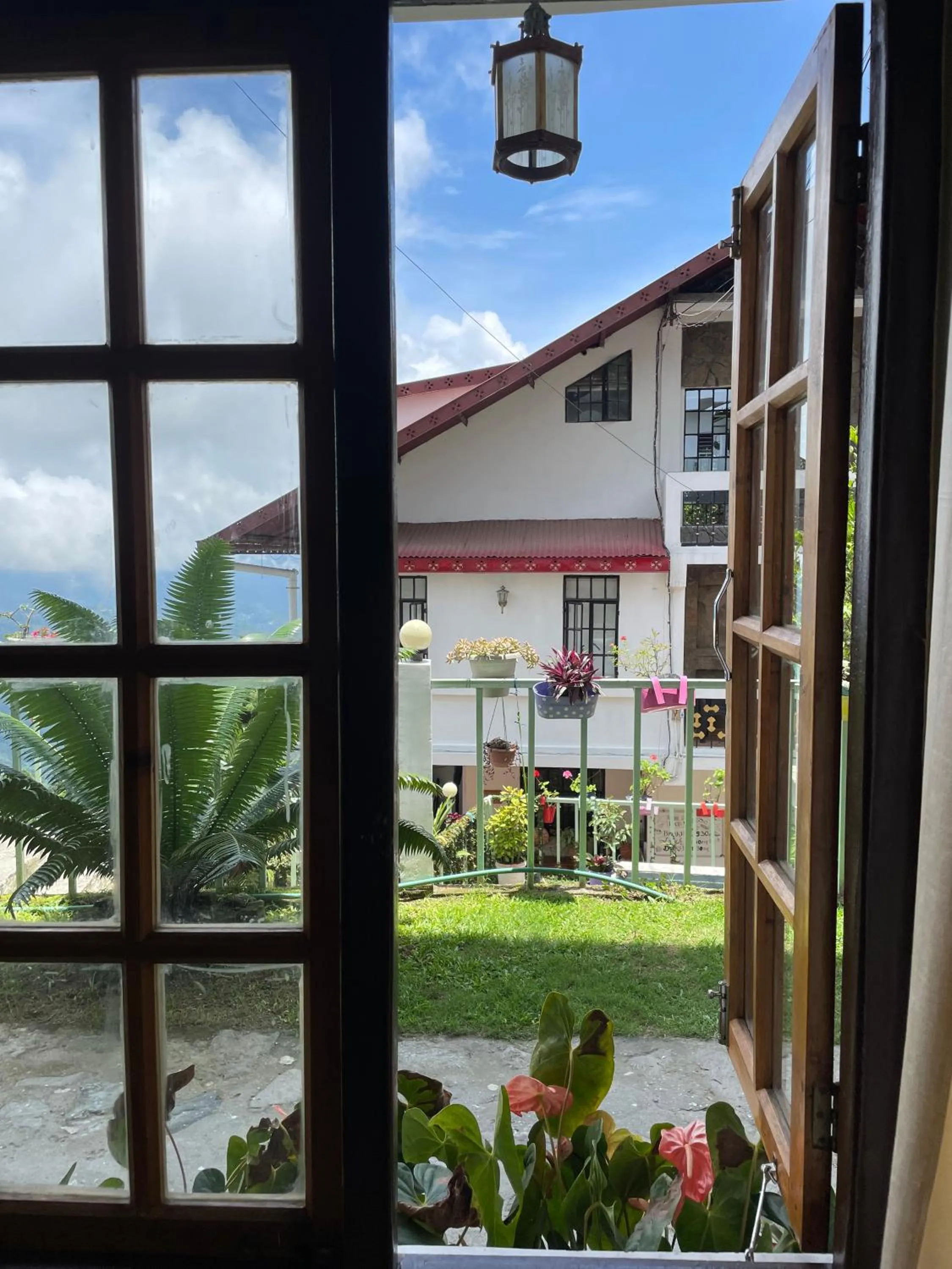 Garden view in THE GINGKO EYRIE