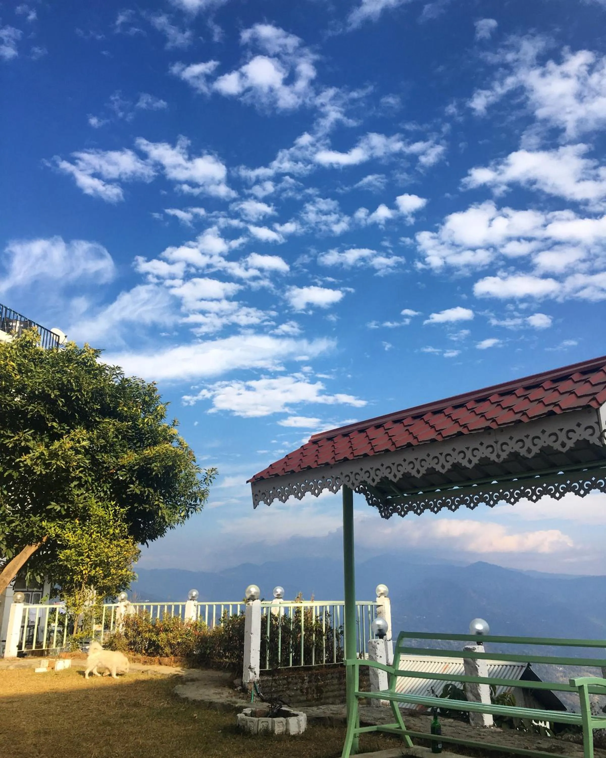 Natural landscape in THE GINGKO EYRIE