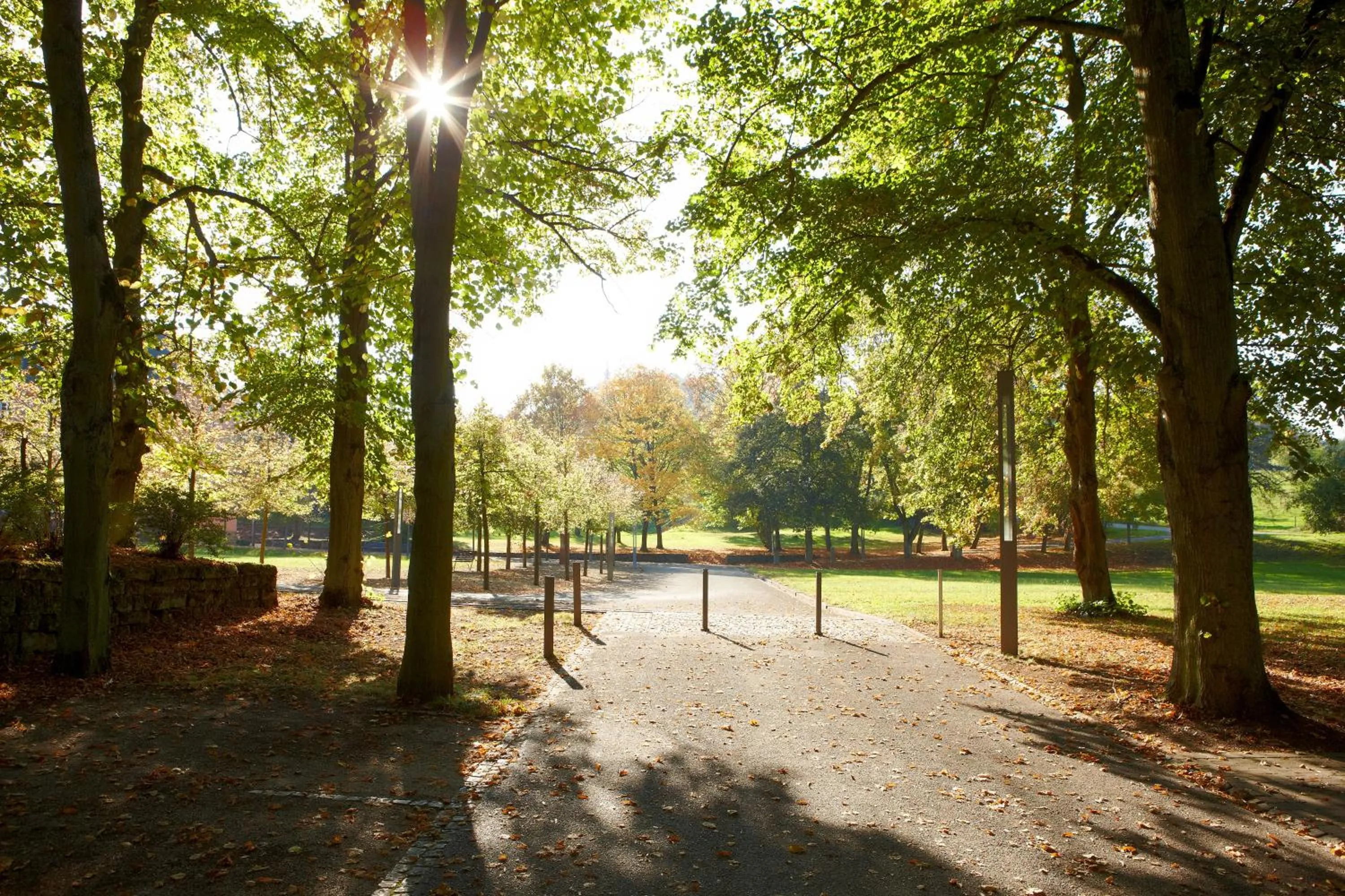 Patio in Robert-Schuman-Haus
