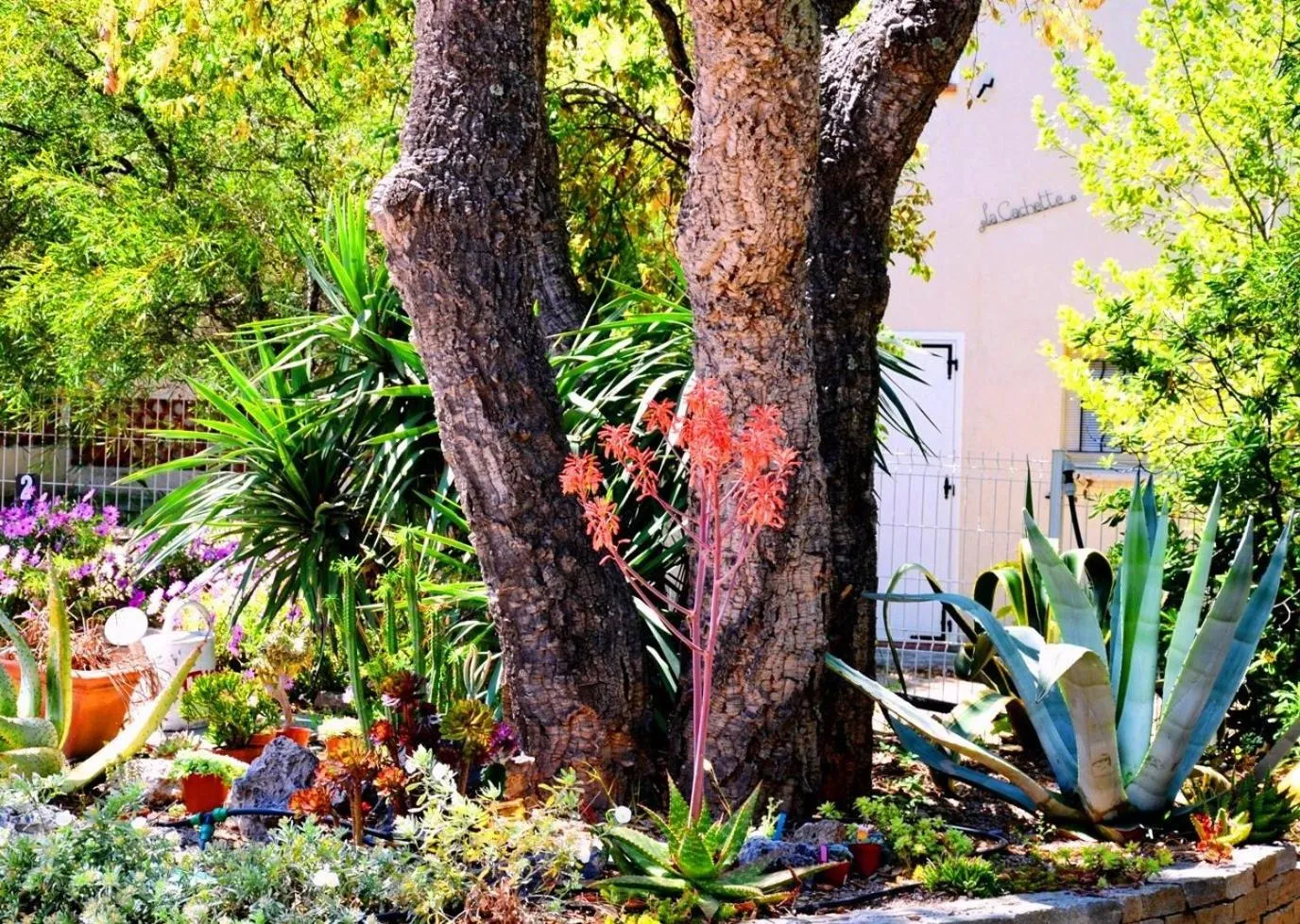 Garden in Athéna MOTEL