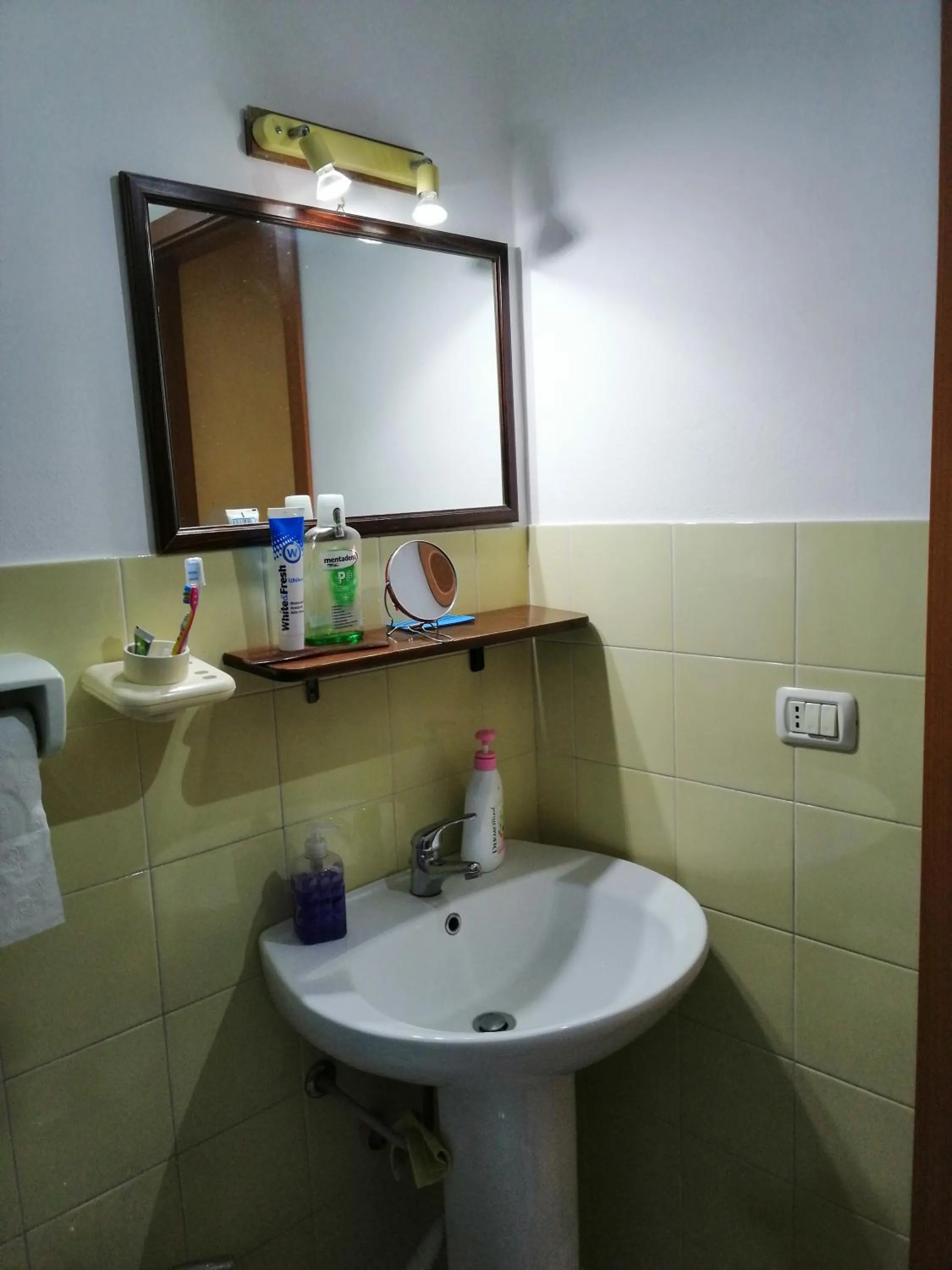 Bathroom in Holiday Home Zolfare