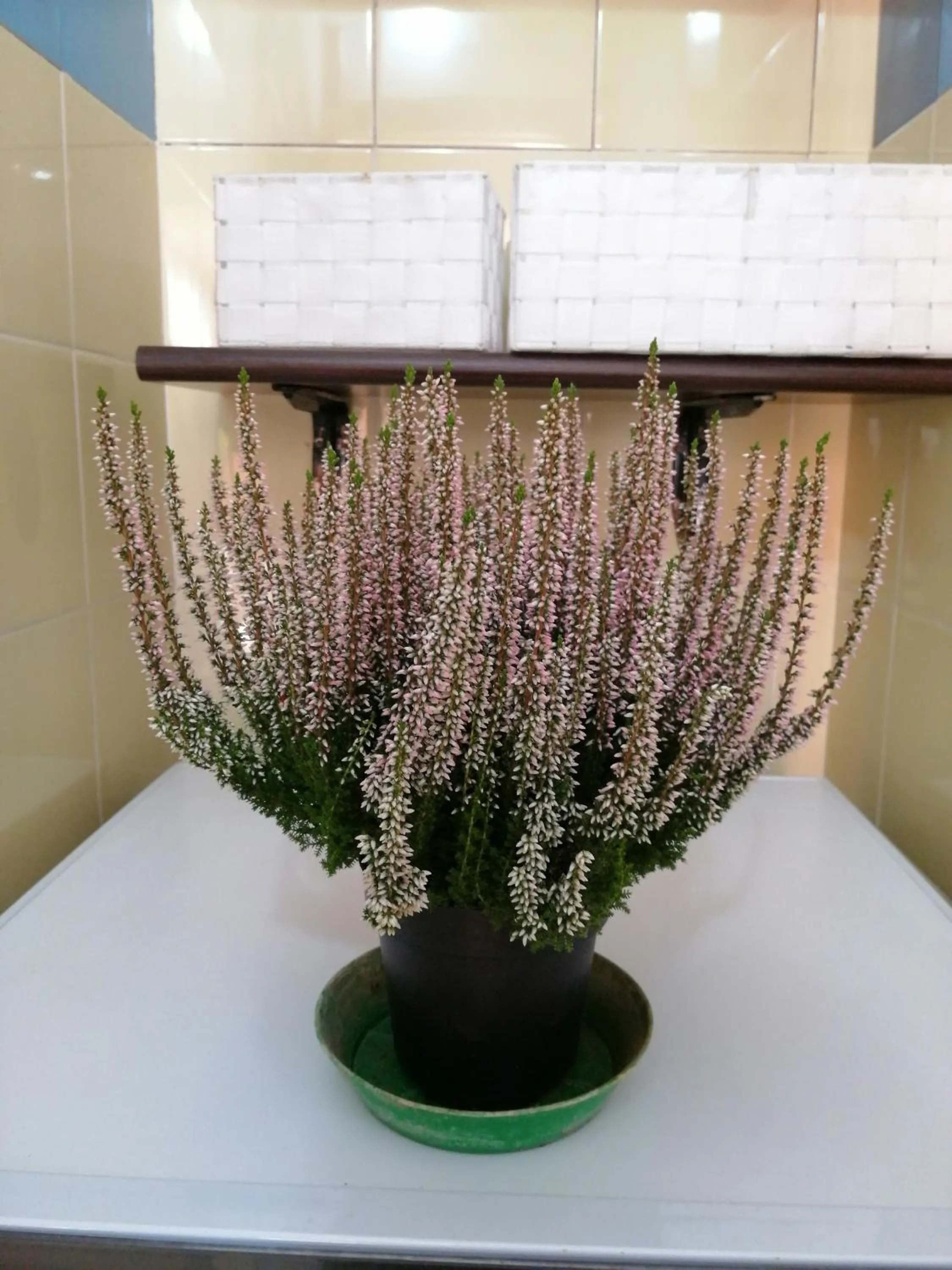 Bathroom in Holiday Home Zolfare
