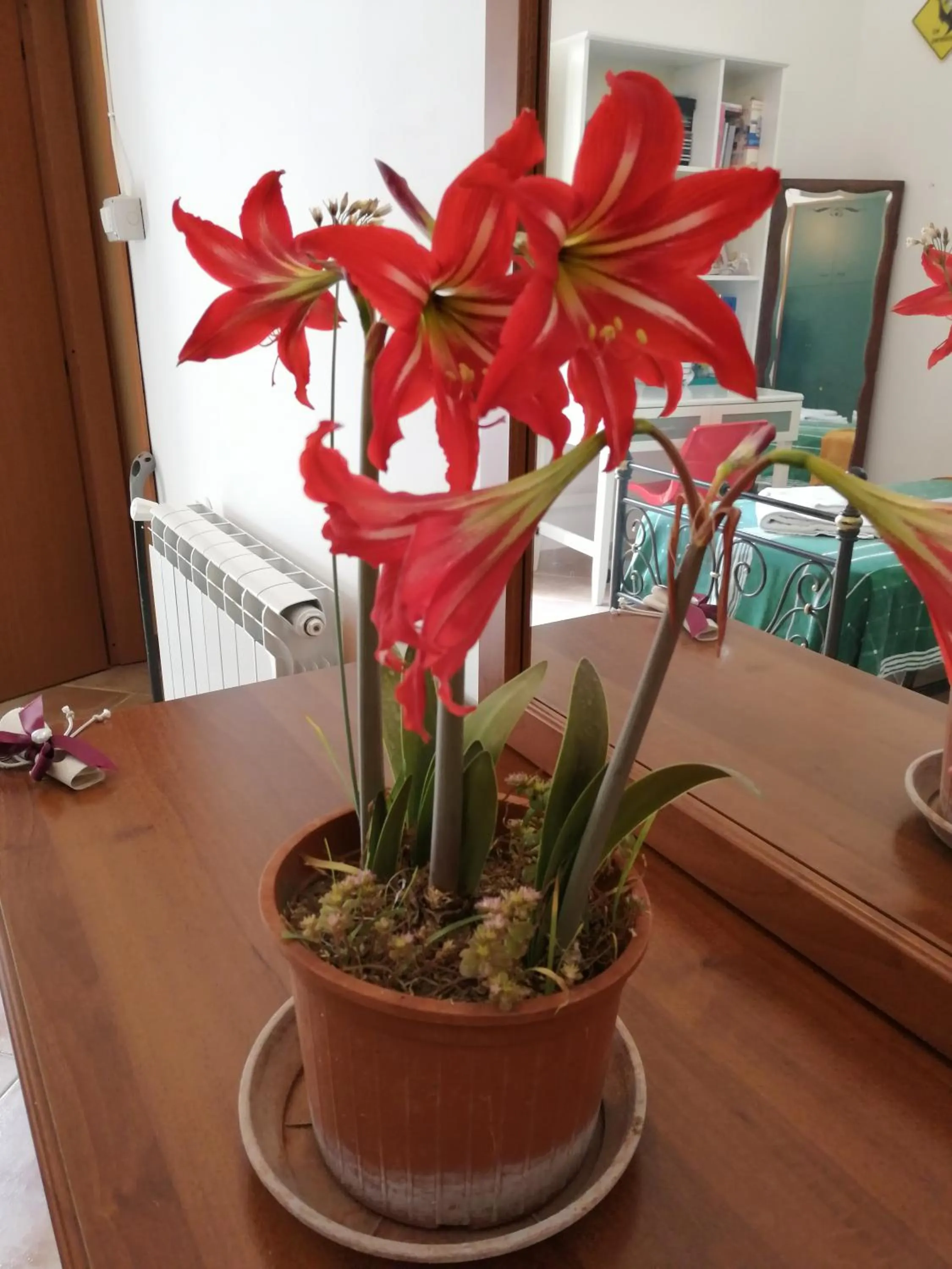 Bed in Holiday Home Zolfare