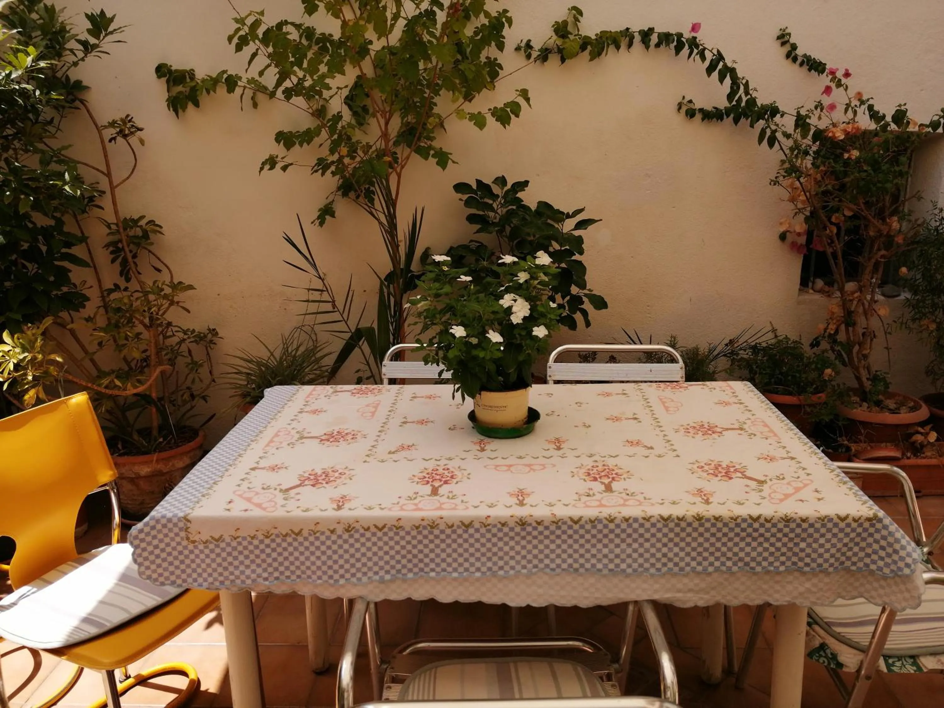 Patio in Holiday Home Zolfare