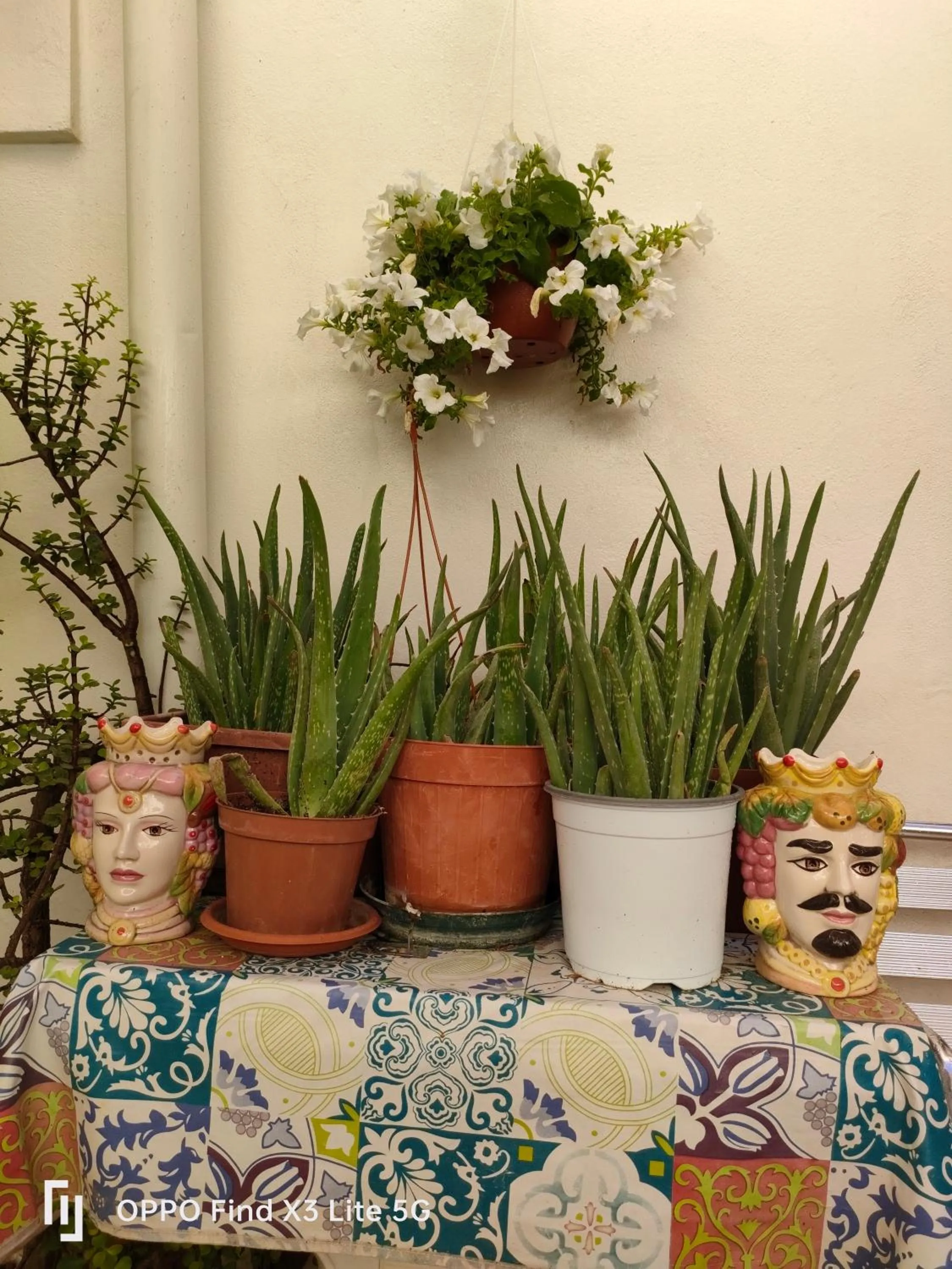 Breakfast in Holiday Home Zolfare