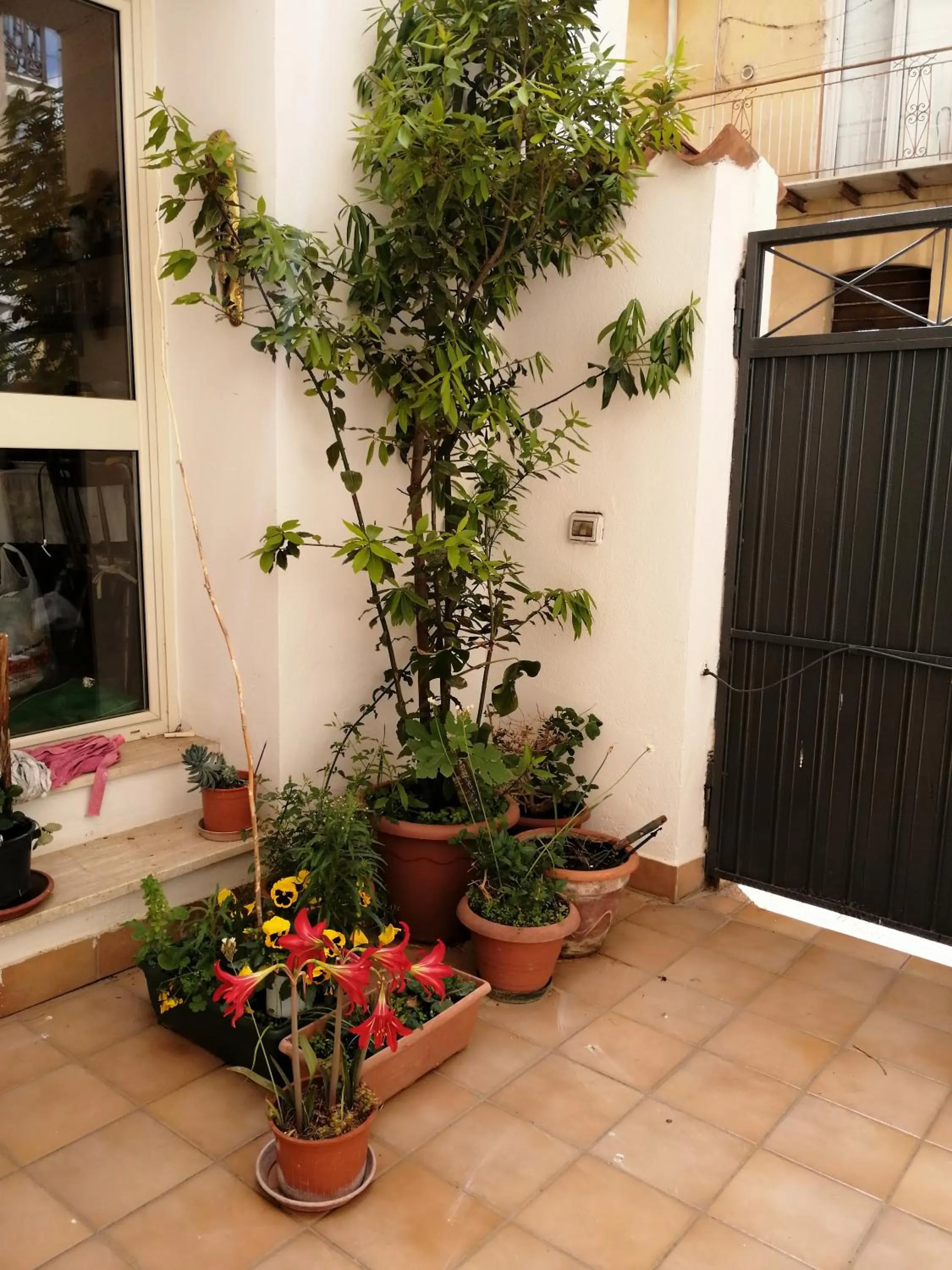 Facade/entrance in Holiday Home Zolfare