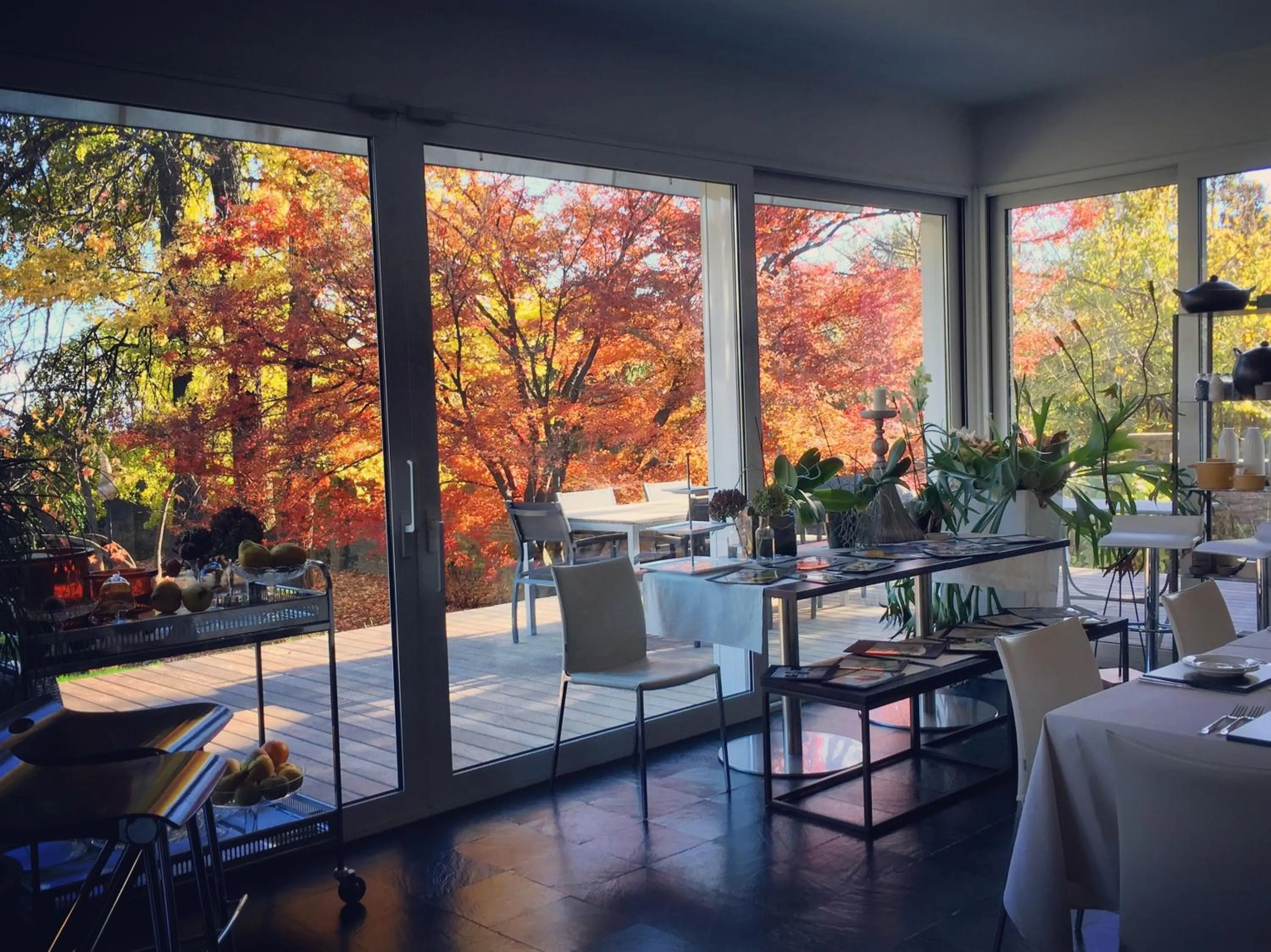 Garden view in Villa La Maggiorana