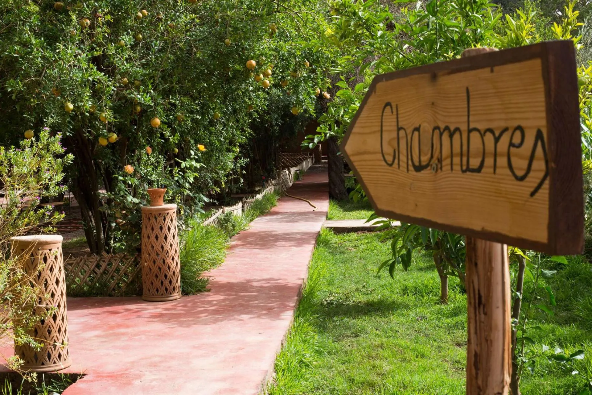 Garden in Ecolodge La Palmeraie