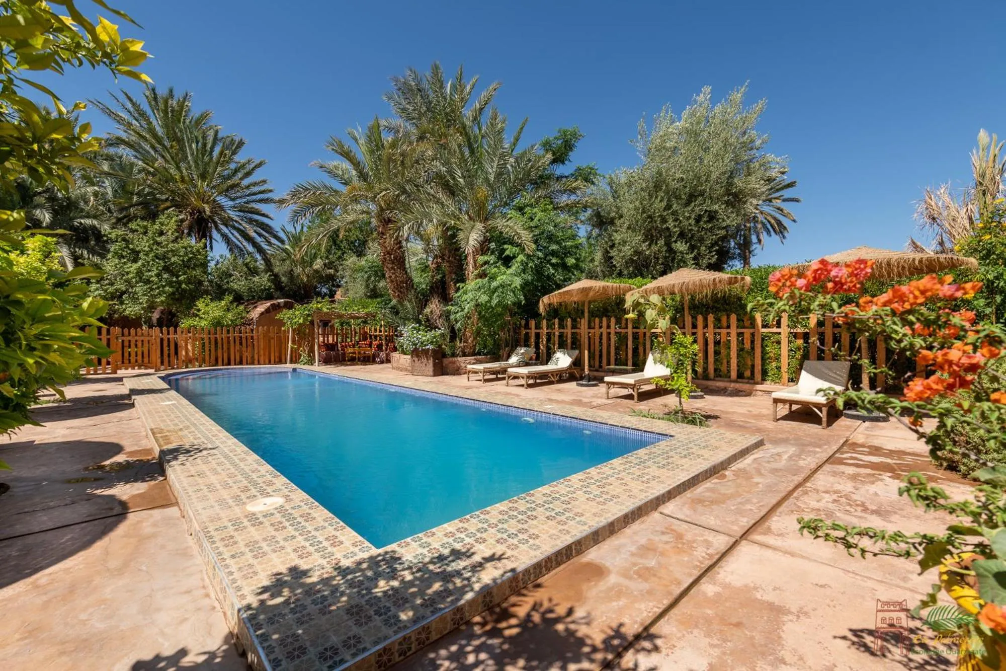 Swimming pool in Ecolodge La Palmeraie