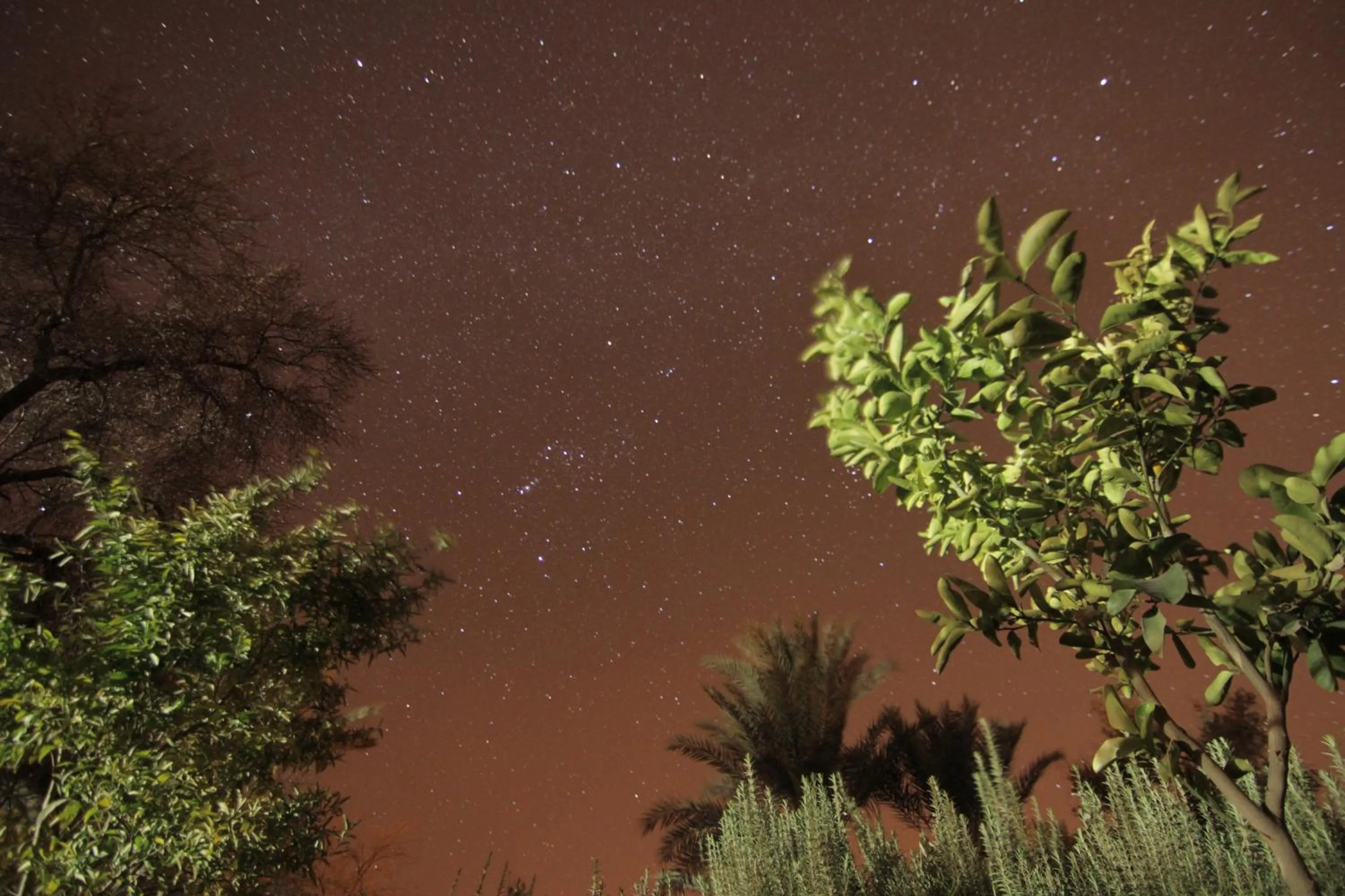 Staff in Ecolodge La Palmeraie