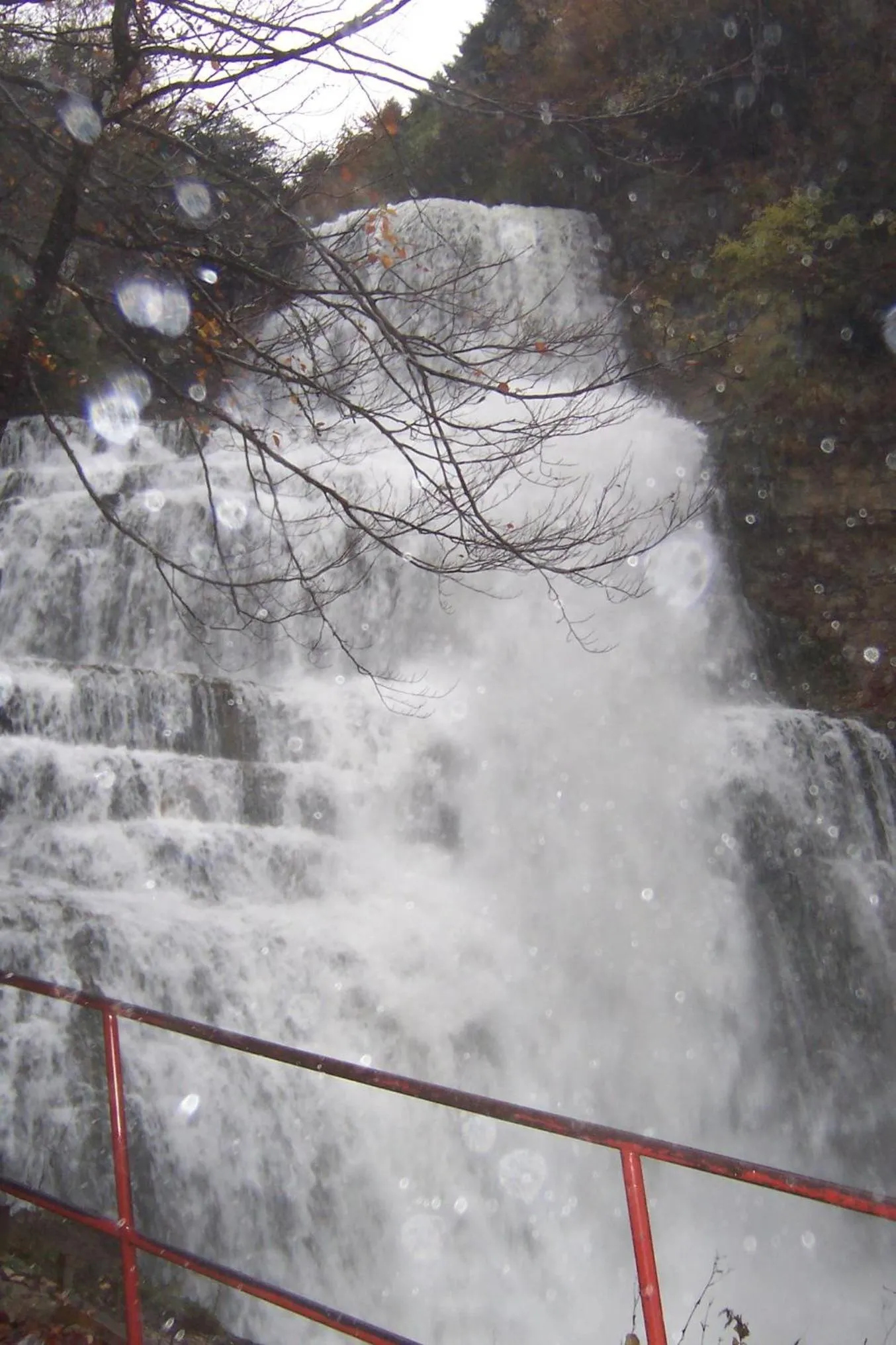 Area and facilities in Auberge du Hérisson