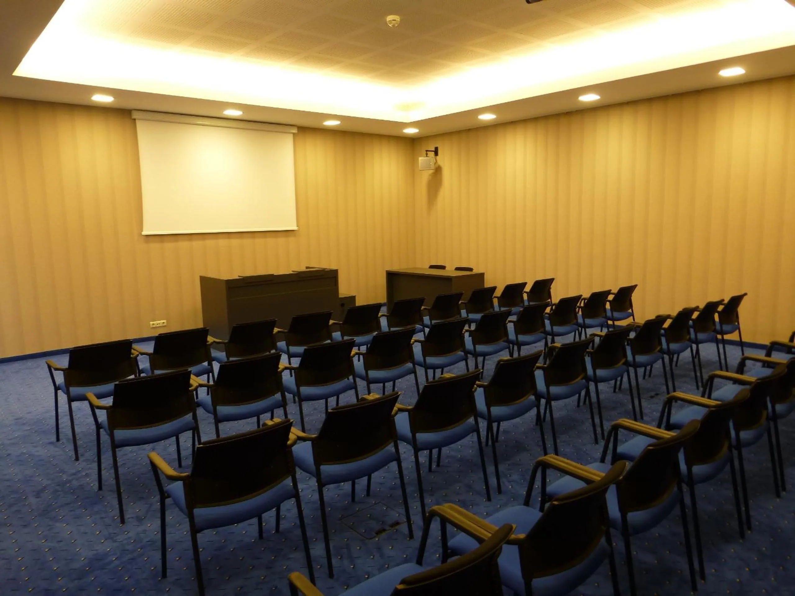 Business facilities in Hotel Doina