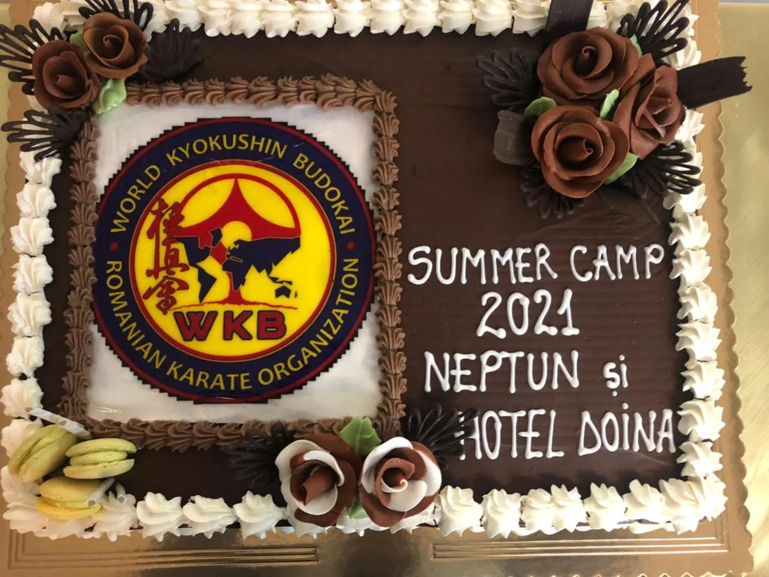 Restaurant/places to eat in Hotel Doina