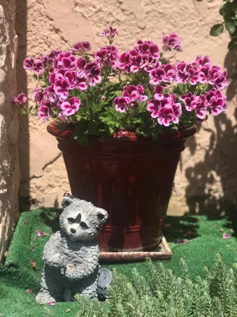 Spring in Les Belles Terrasses