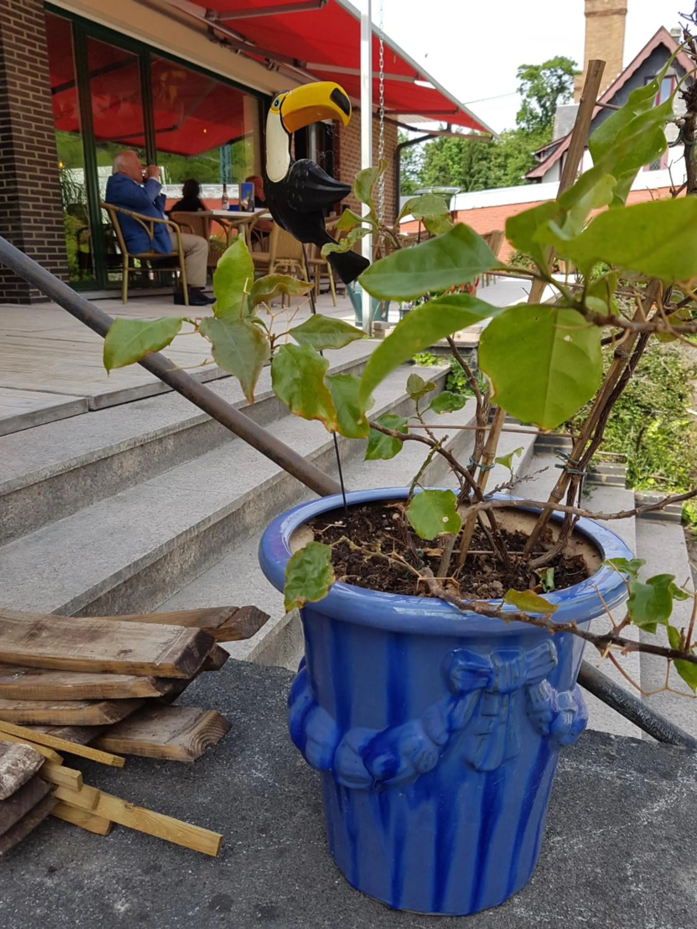 Garden in Auberge RIO