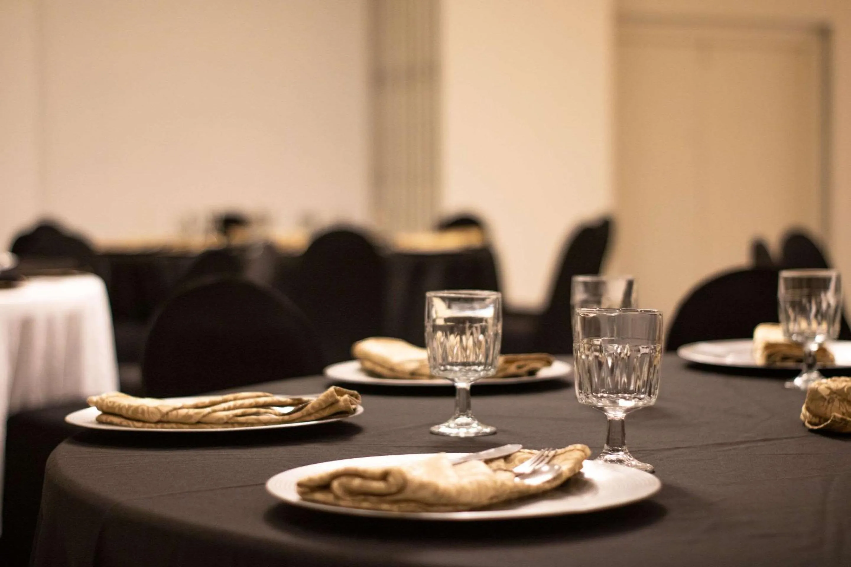 Banquet/Function facilities in Hotel Americana