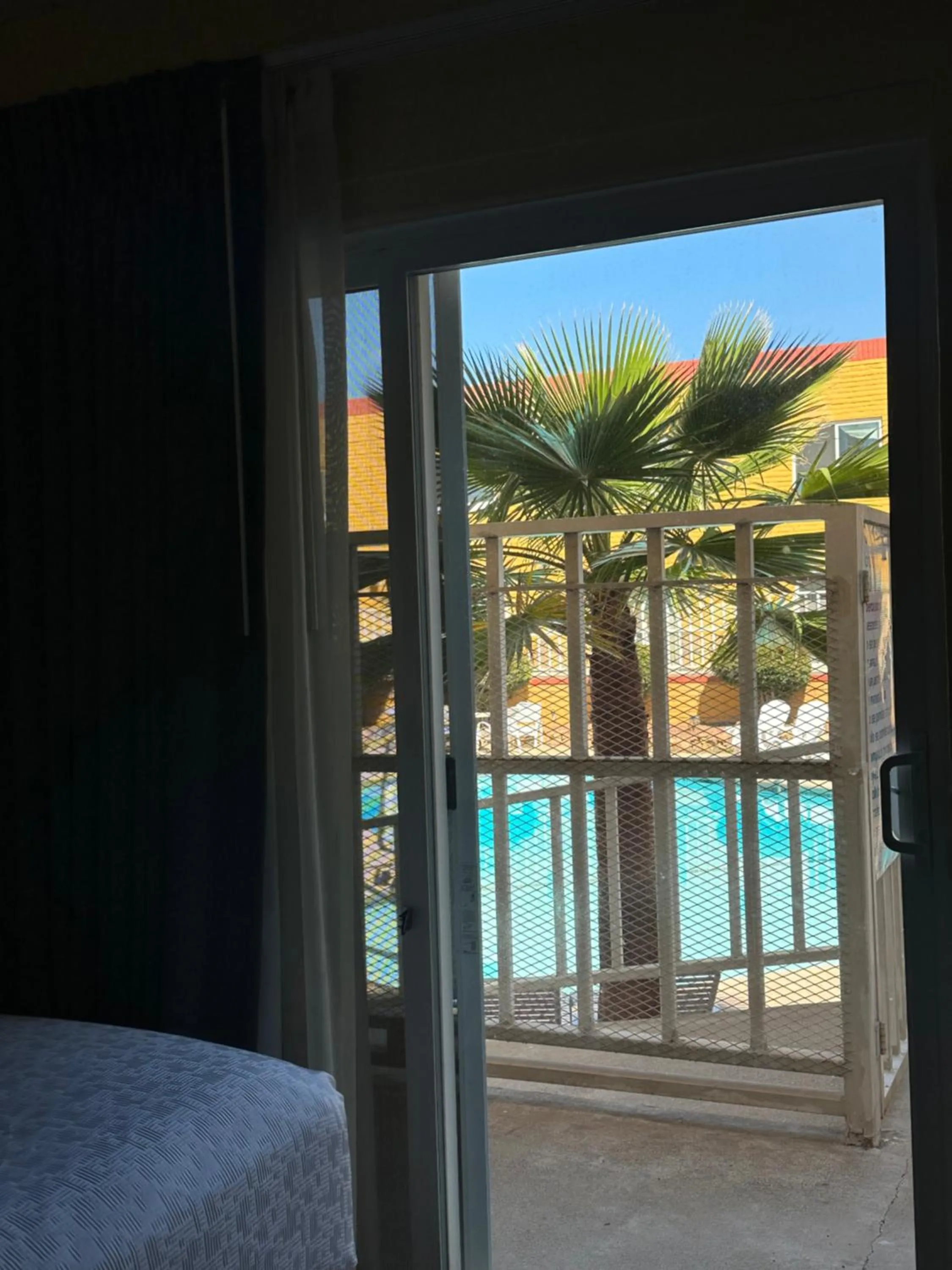 Pool view in Hotel Americana