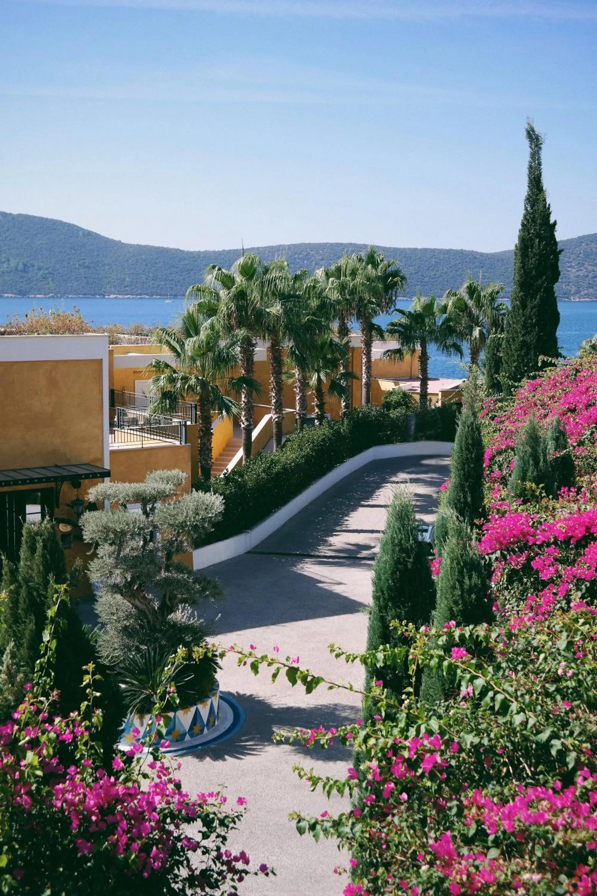 Garden in Casa Nonna Bodrum - Adult Only
