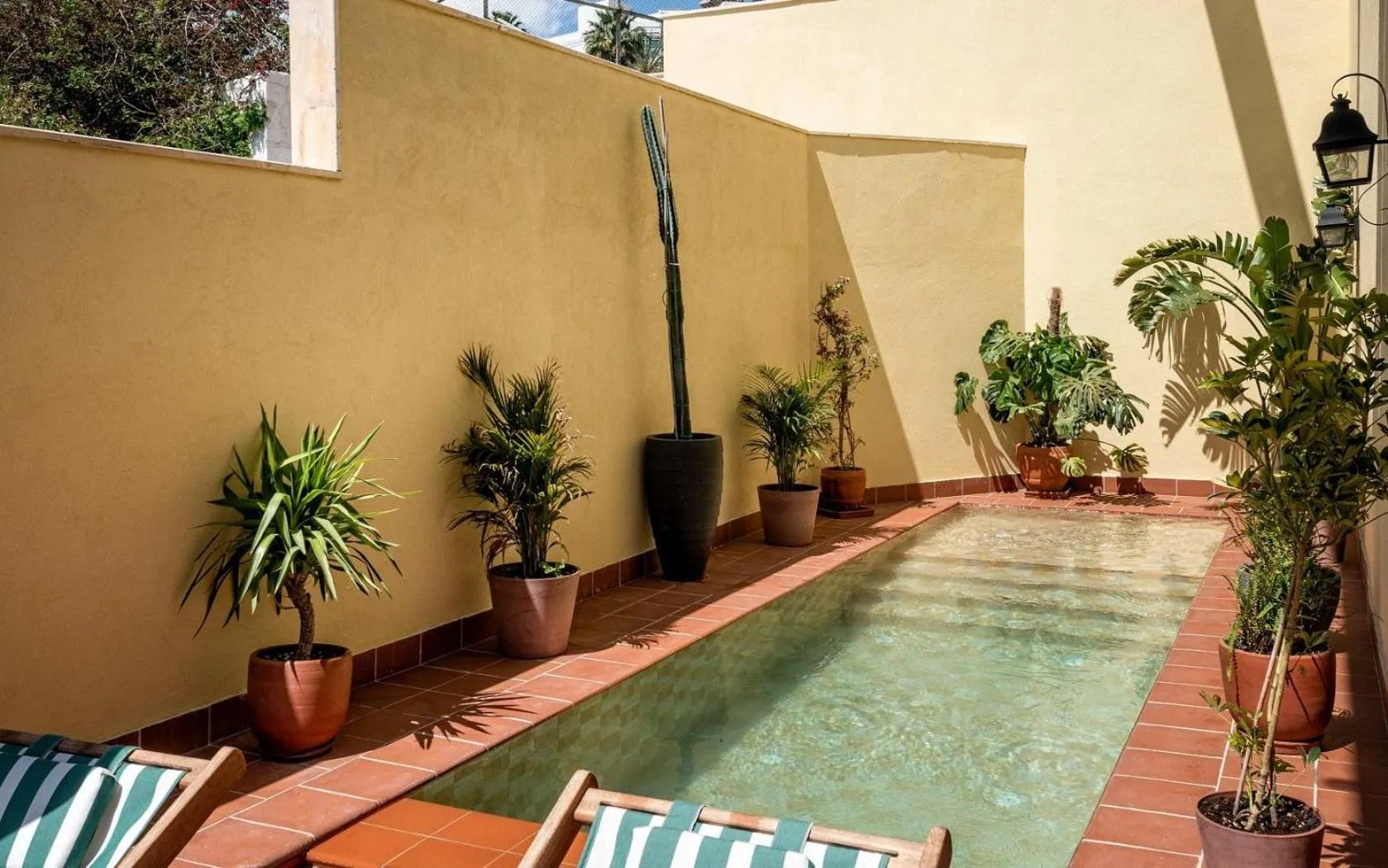 Photo of the whole room in Casa Nonna Bodrum - Adult Only