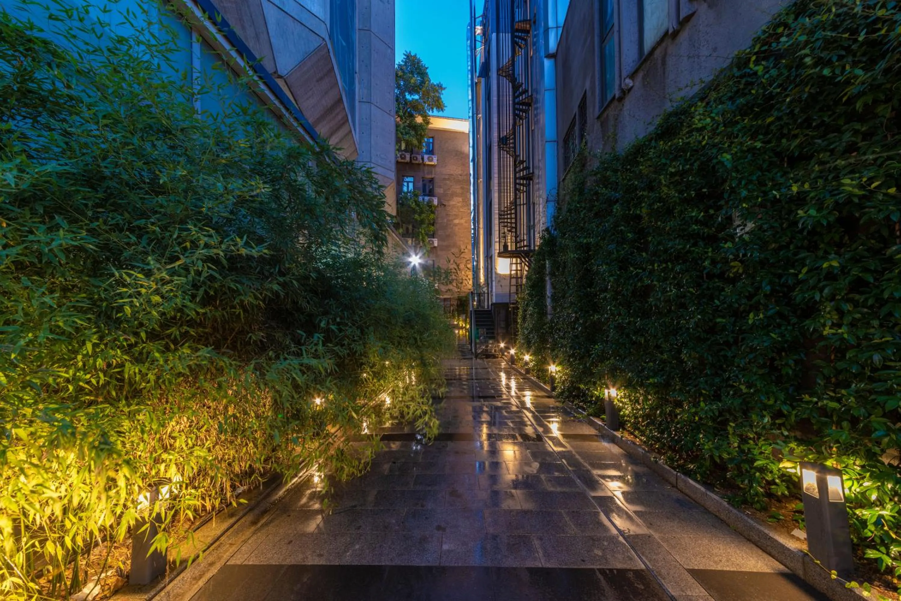 Garden in Opale Hotel