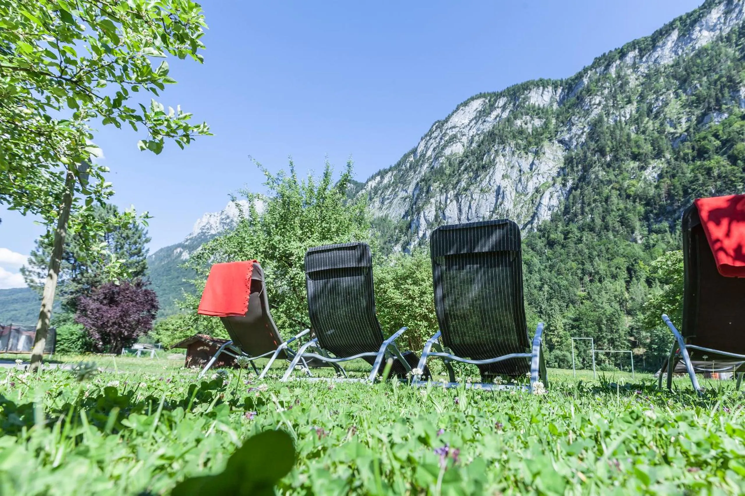 Garden in Hotel B&B "Zur Schanz"