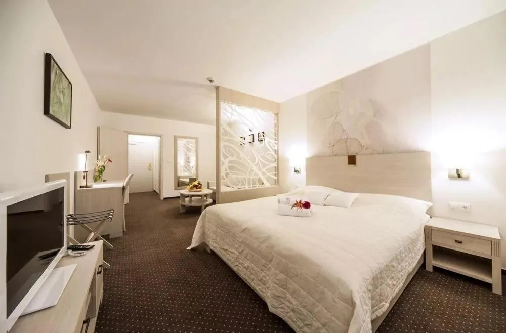 Large Double Room in Hotel Slamený Dom & SPA