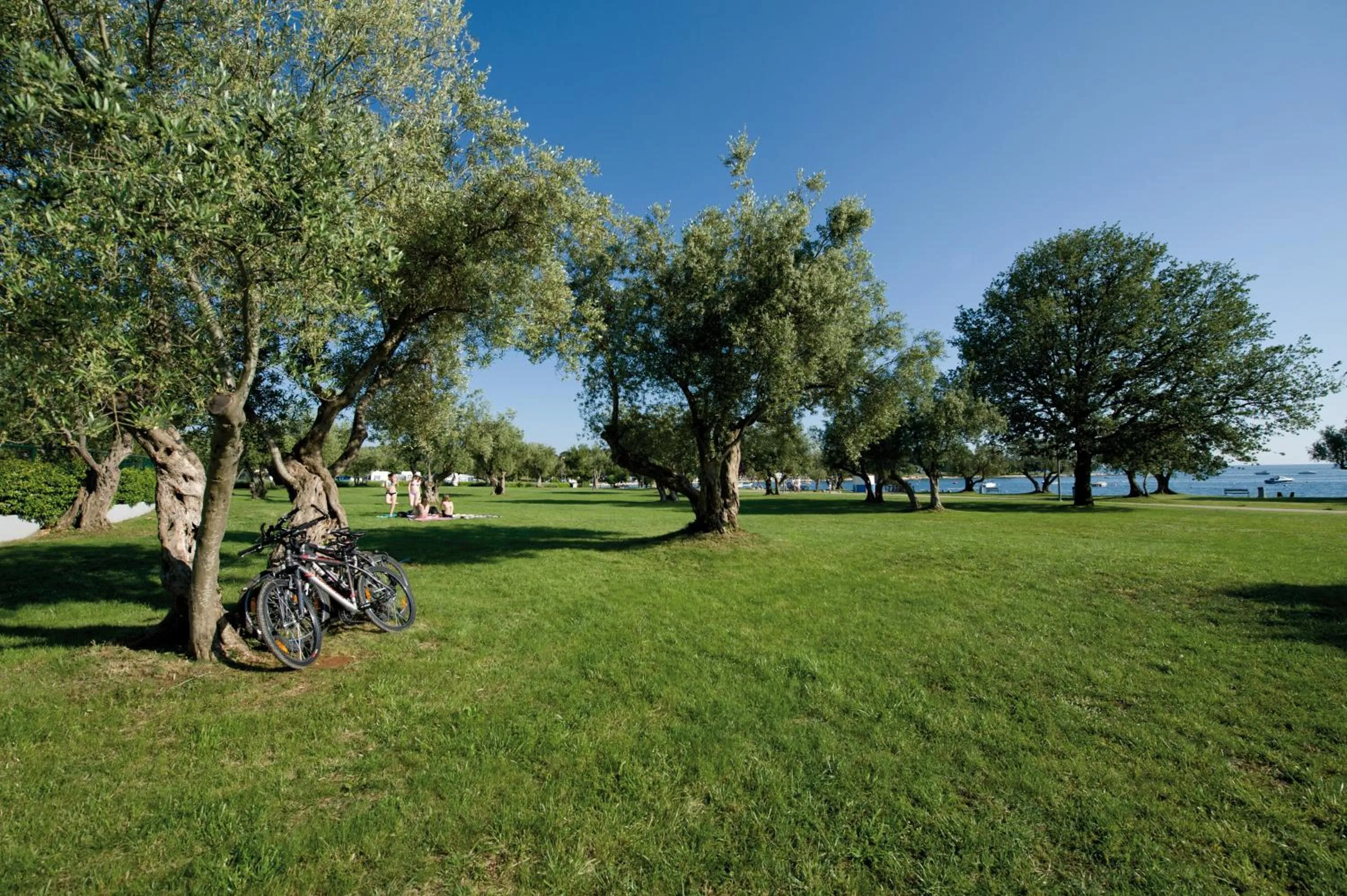 Garden in Maistra Camping Polari Mobile homes