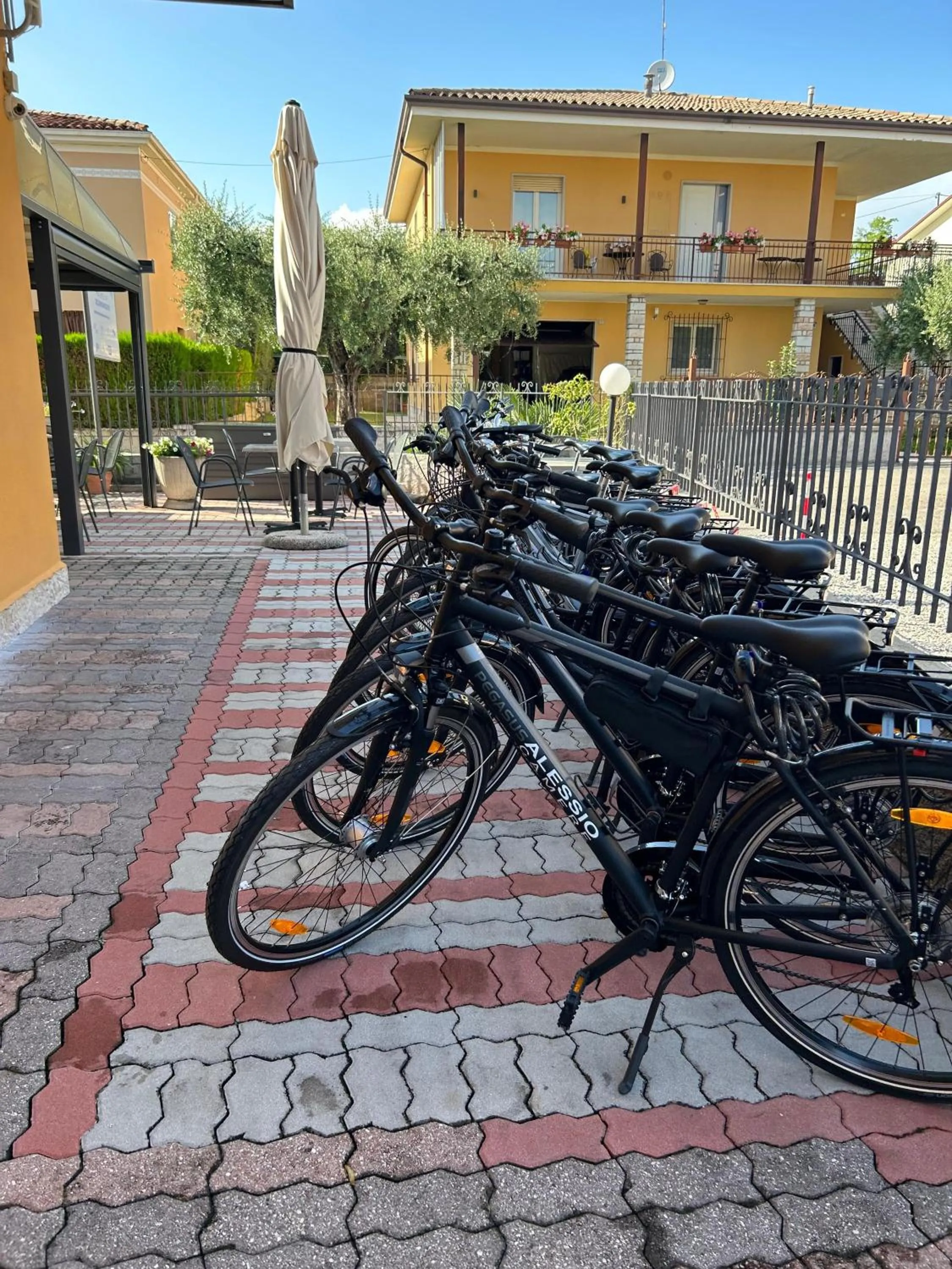 Cycling in Alessio Camere