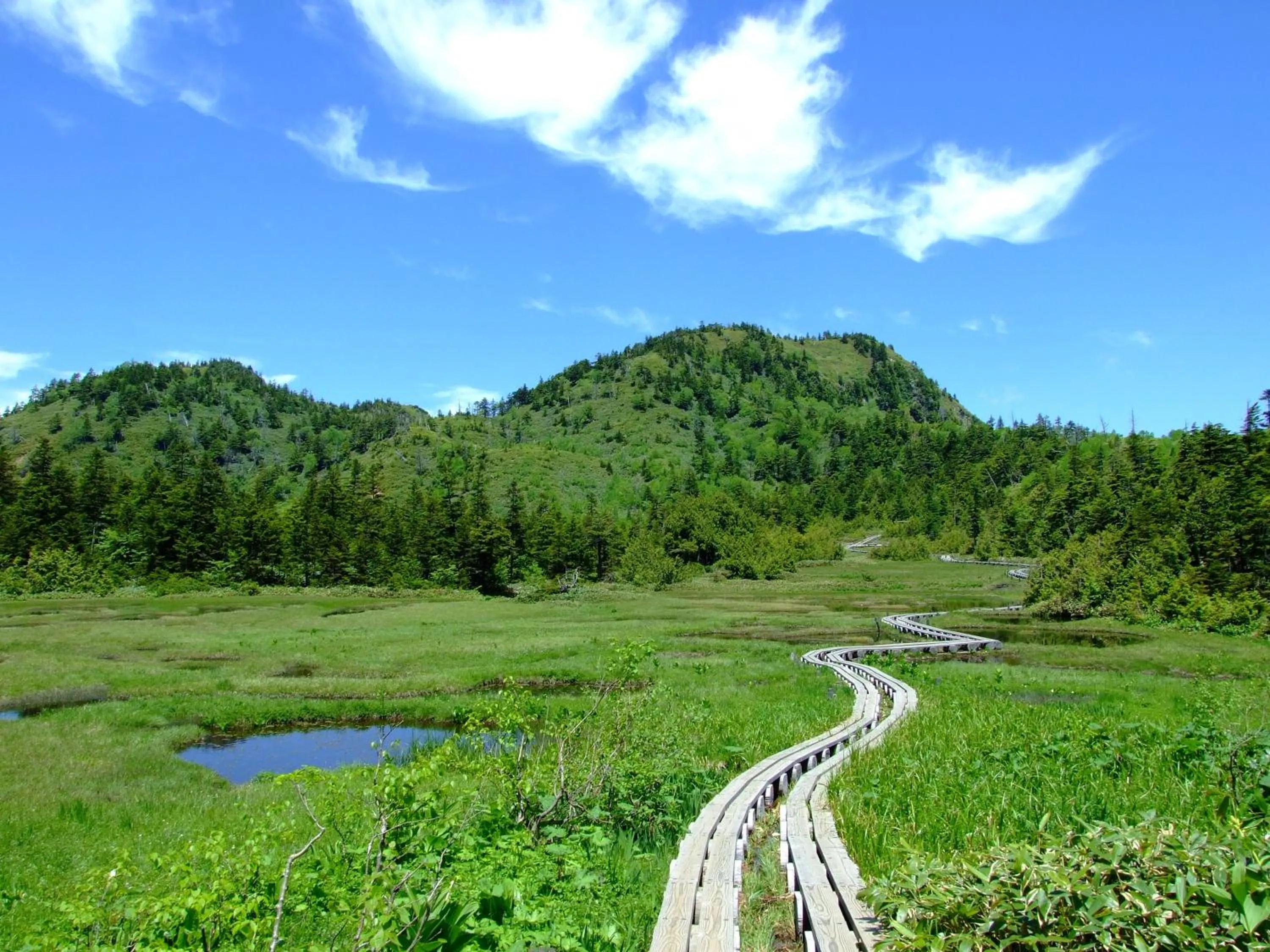 Nearby landmark in Kidoike Onsen Hotel