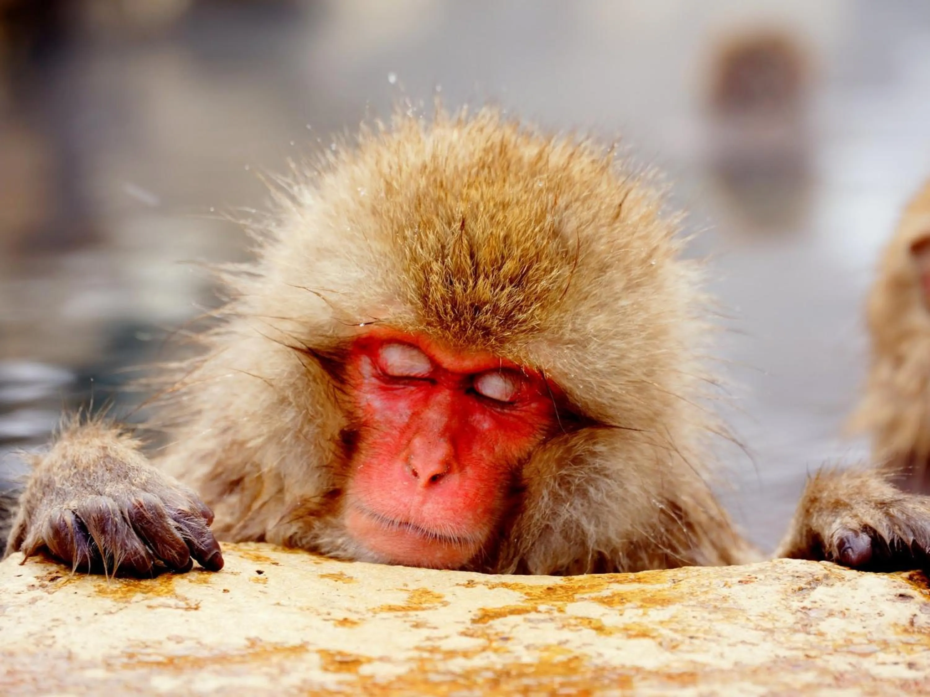Nearby landmark in Kidoike Onsen Hotel