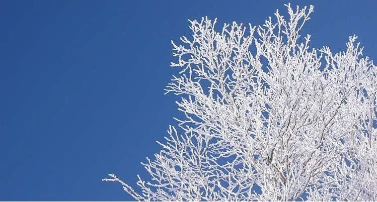 Off site in Kidoike Onsen Hotel