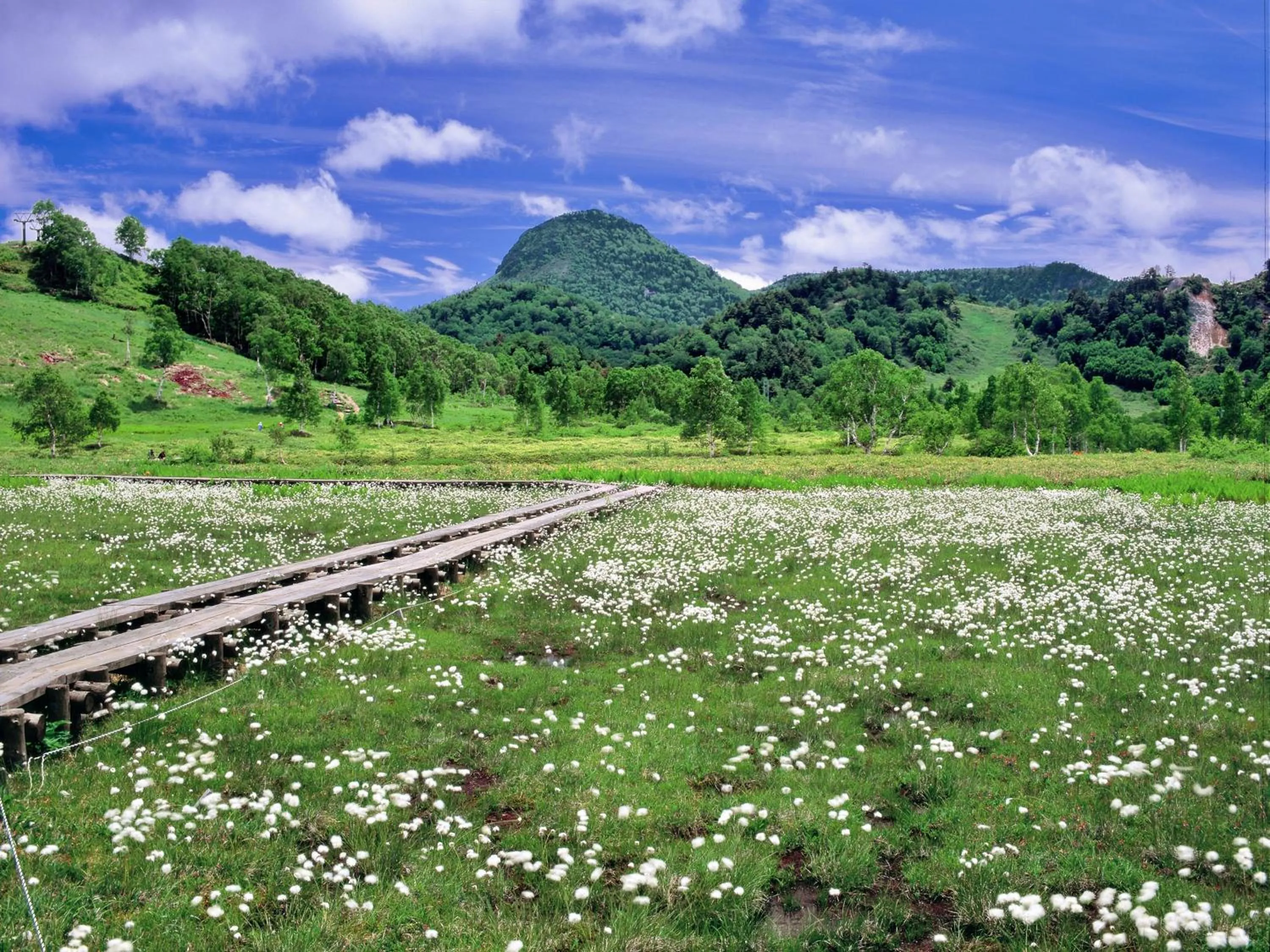 Nearby landmark in Kidoike Onsen Hotel