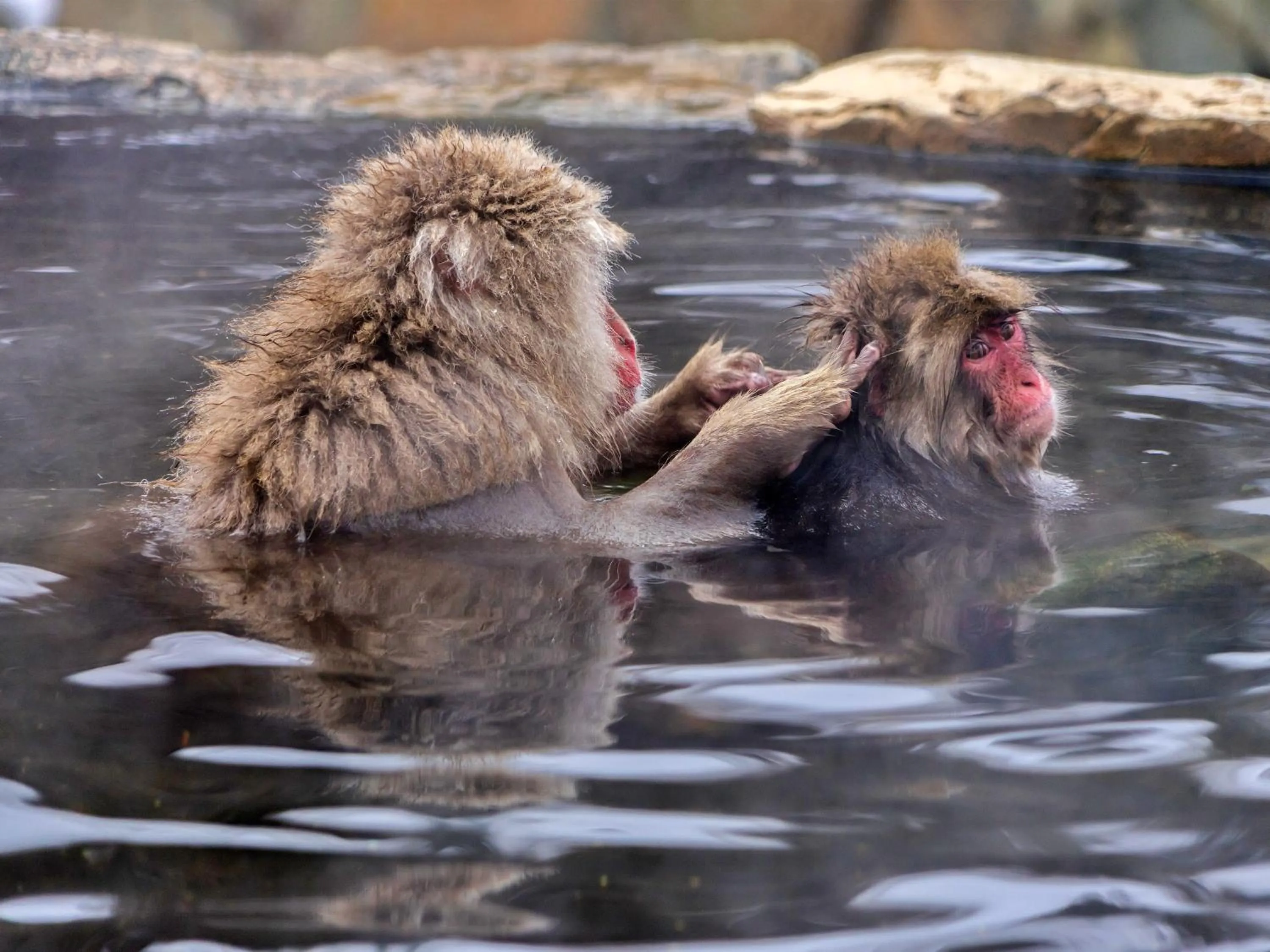Nearby landmark in Kidoike Onsen Hotel