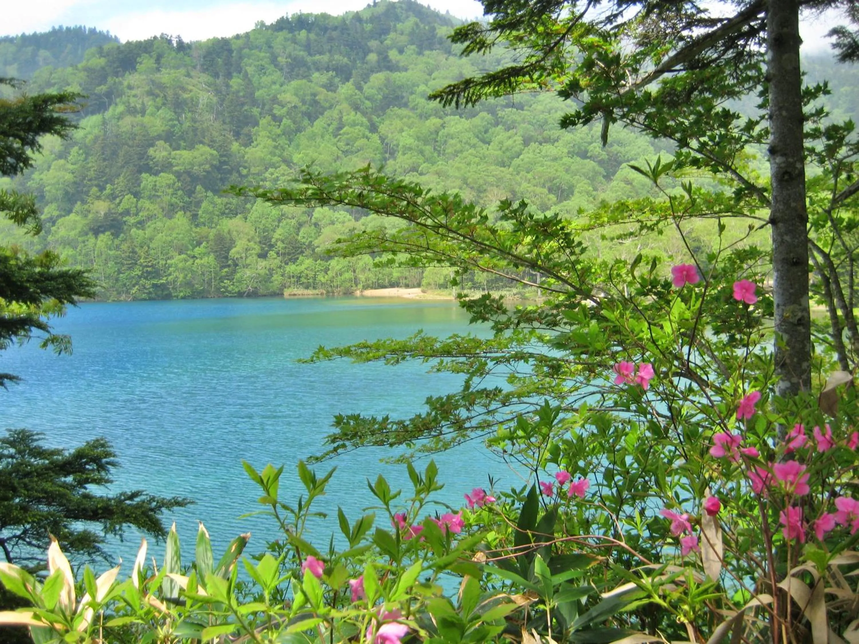 Off site in Kidoike Onsen Hotel