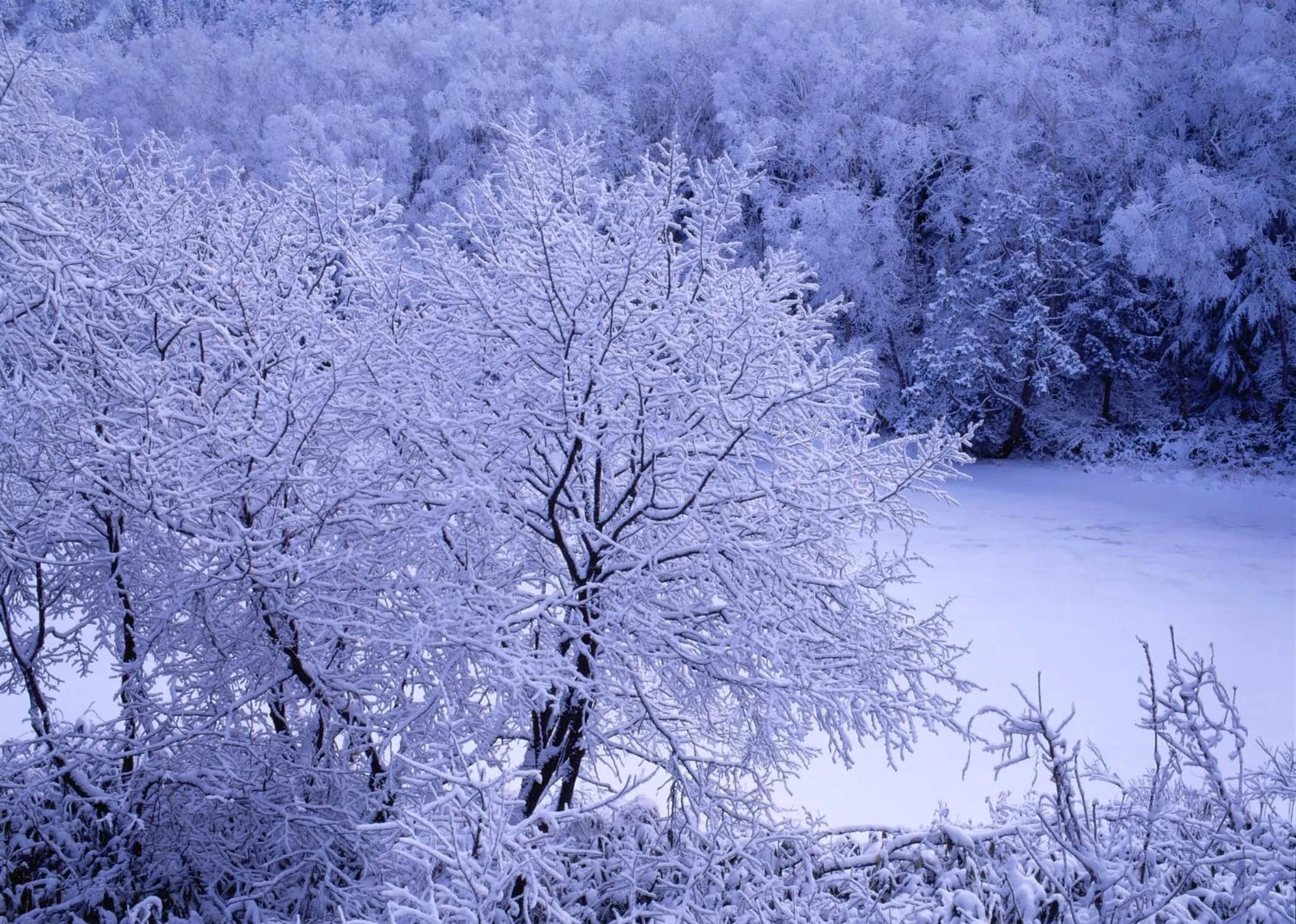 Natural landscape in Kidoike Onsen Hotel