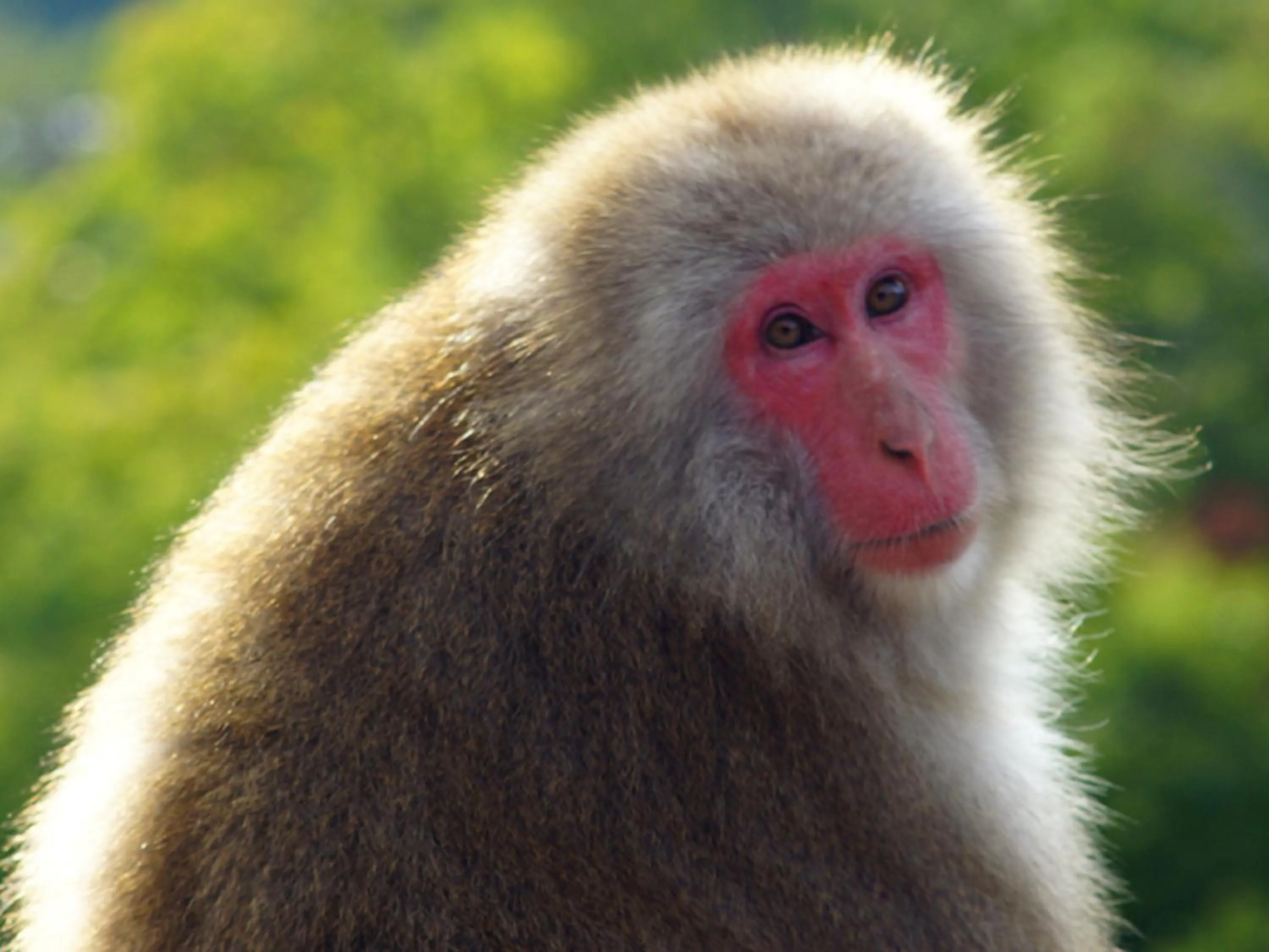 Nearby landmark in Kidoike Onsen Hotel